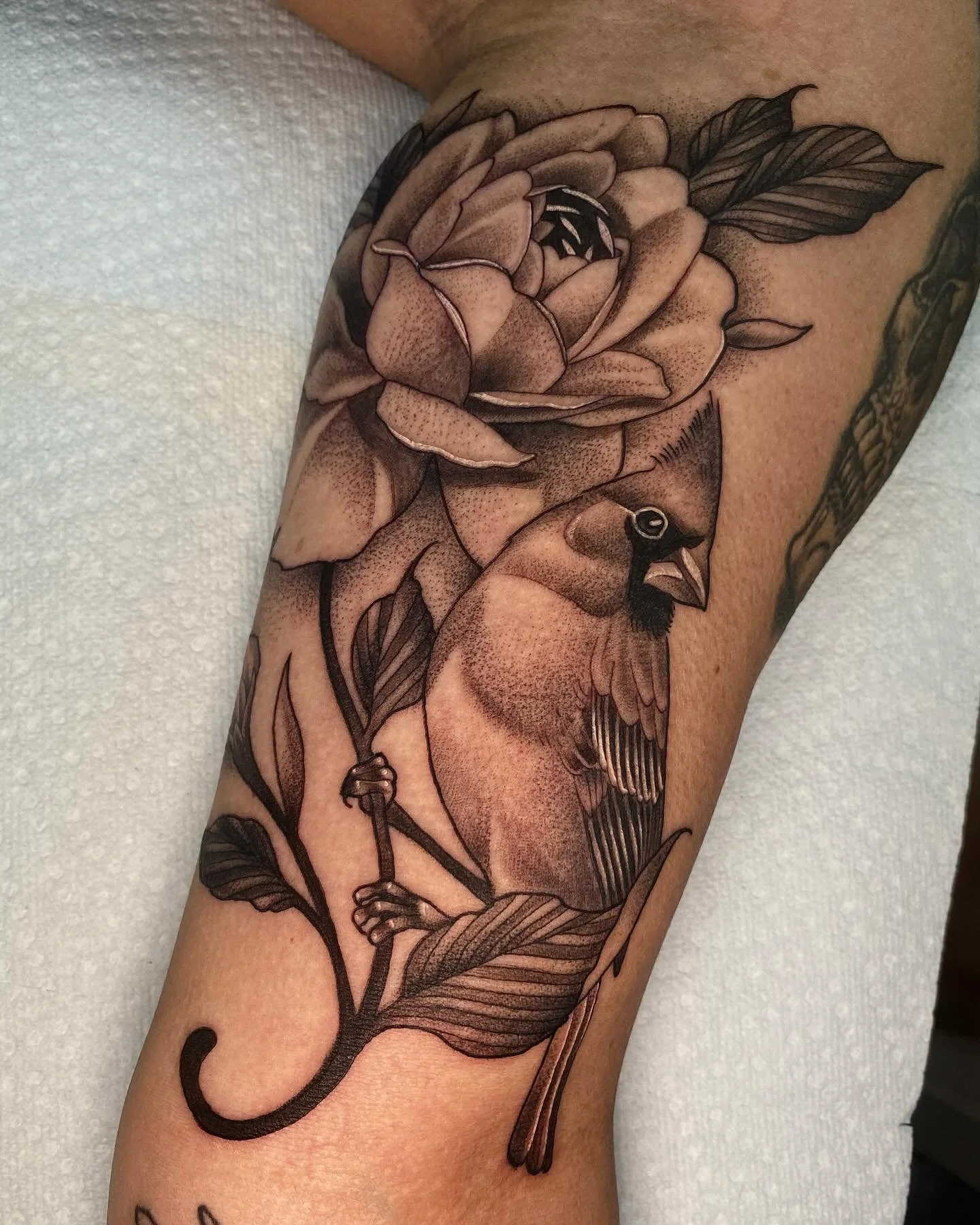 Cardinal and peony for Tiffany! Thank uuuu