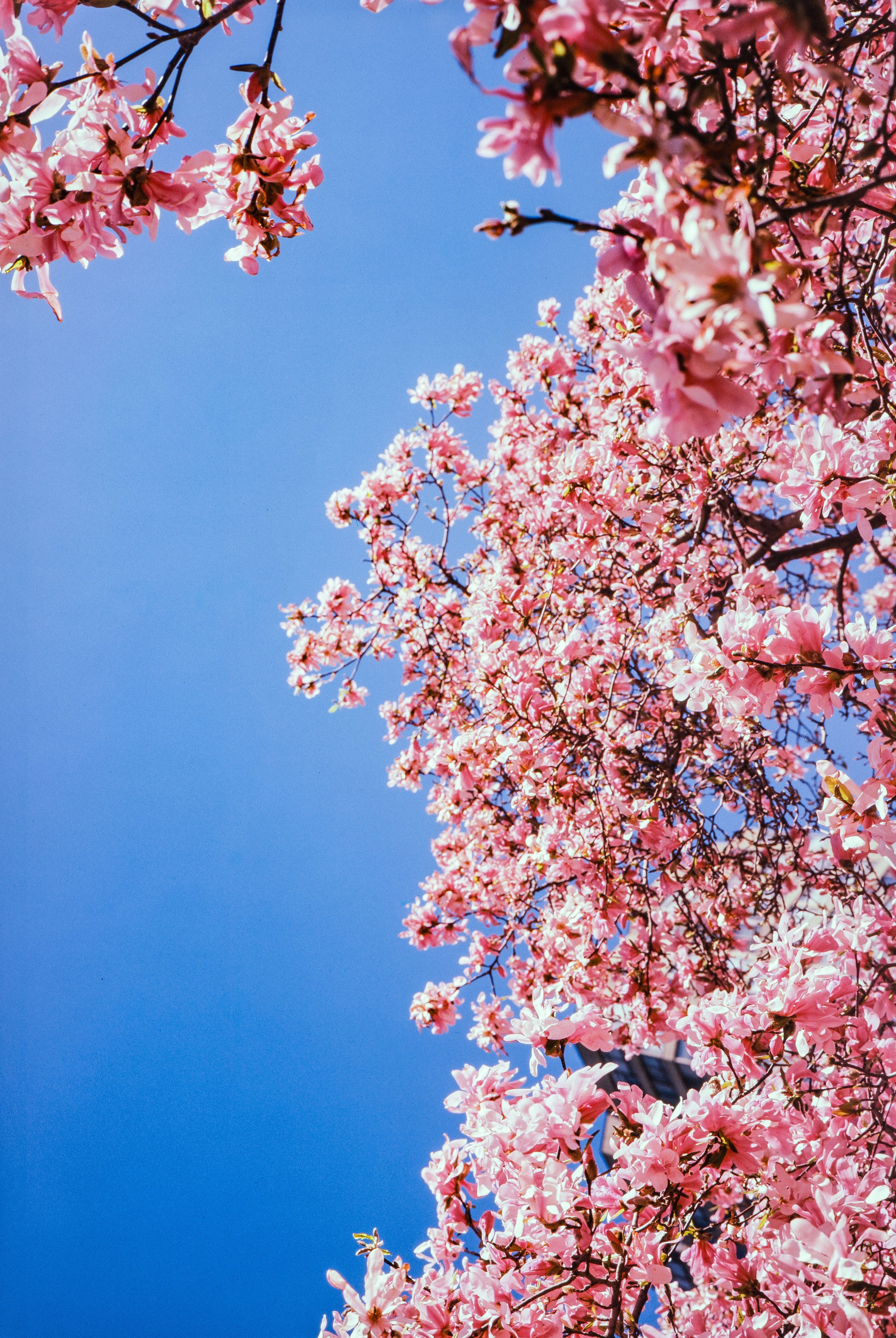 FUJI ASTIA 100-3.jpg