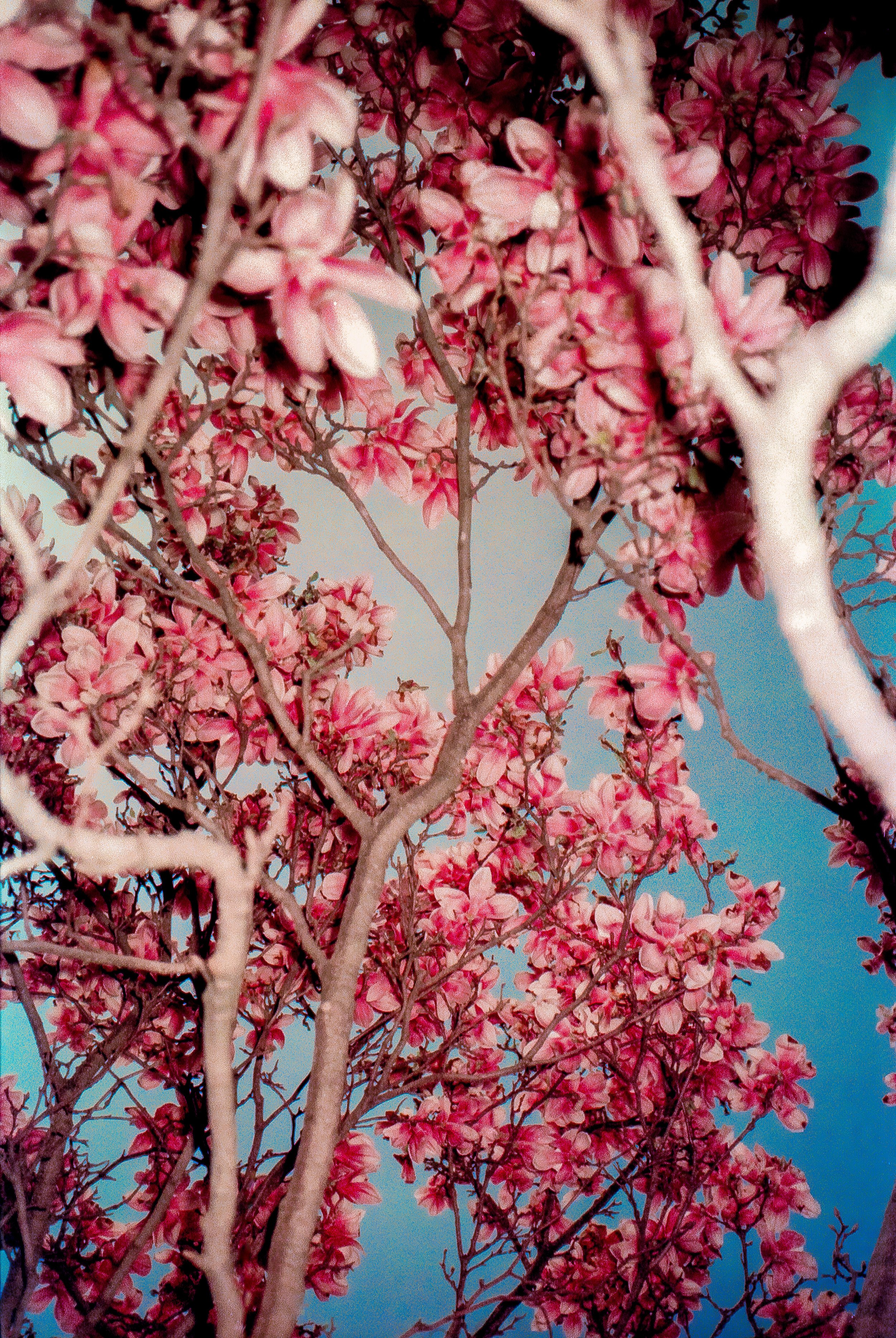 FUJI 250T STREET-4-3.jpg