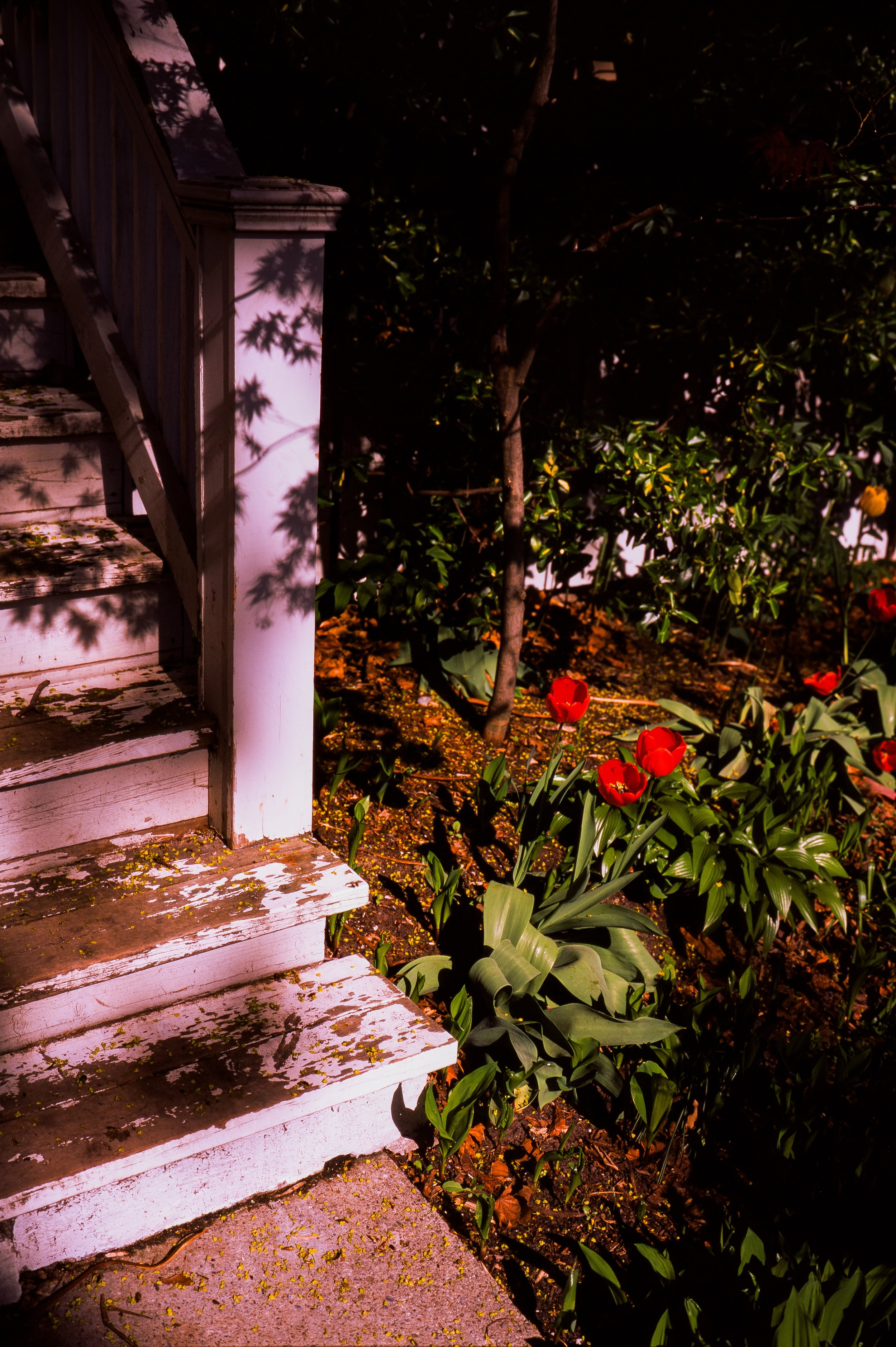VELVIA 50-12.jpg