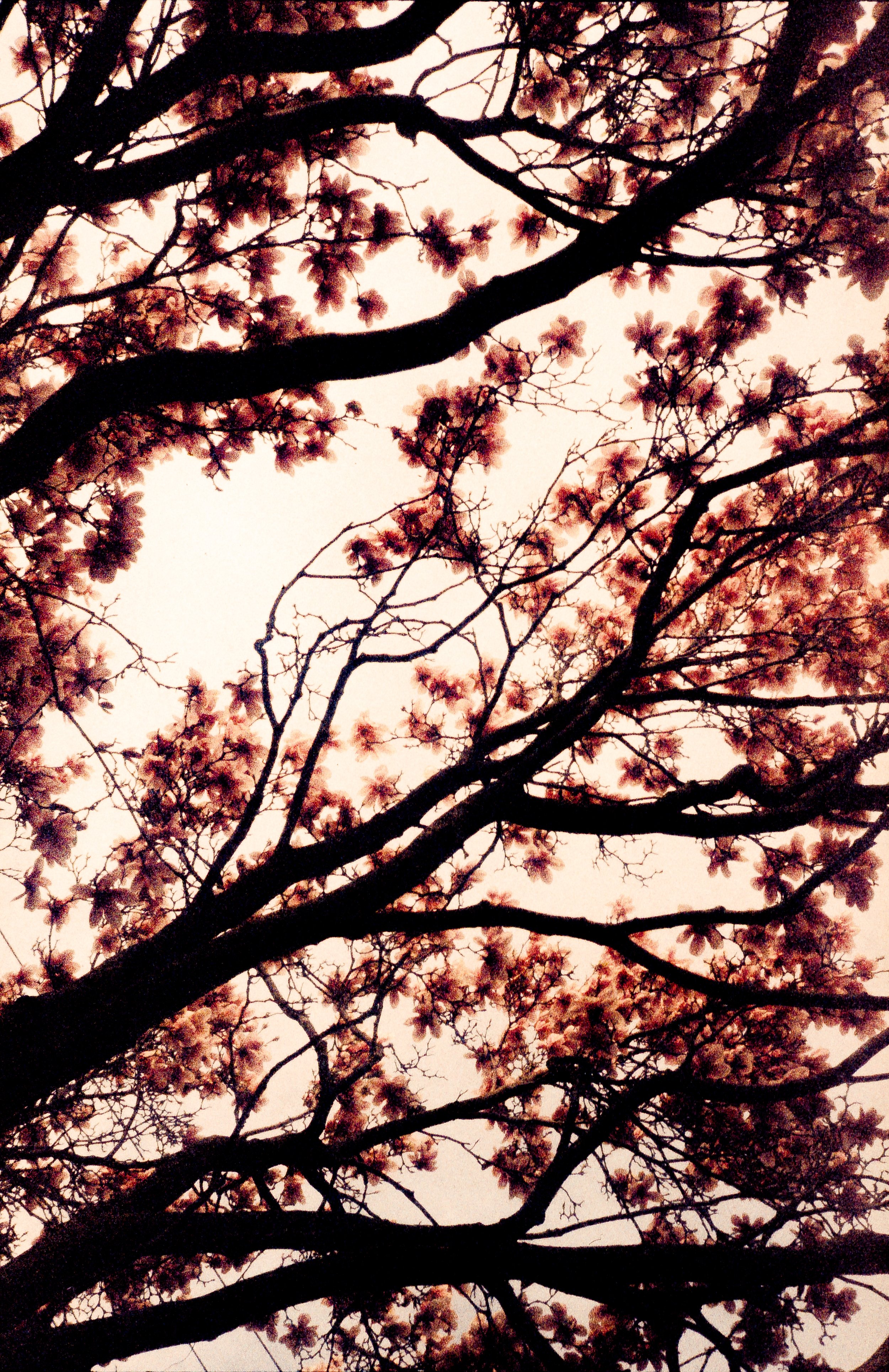 PROVIA 400-8-3.jpg