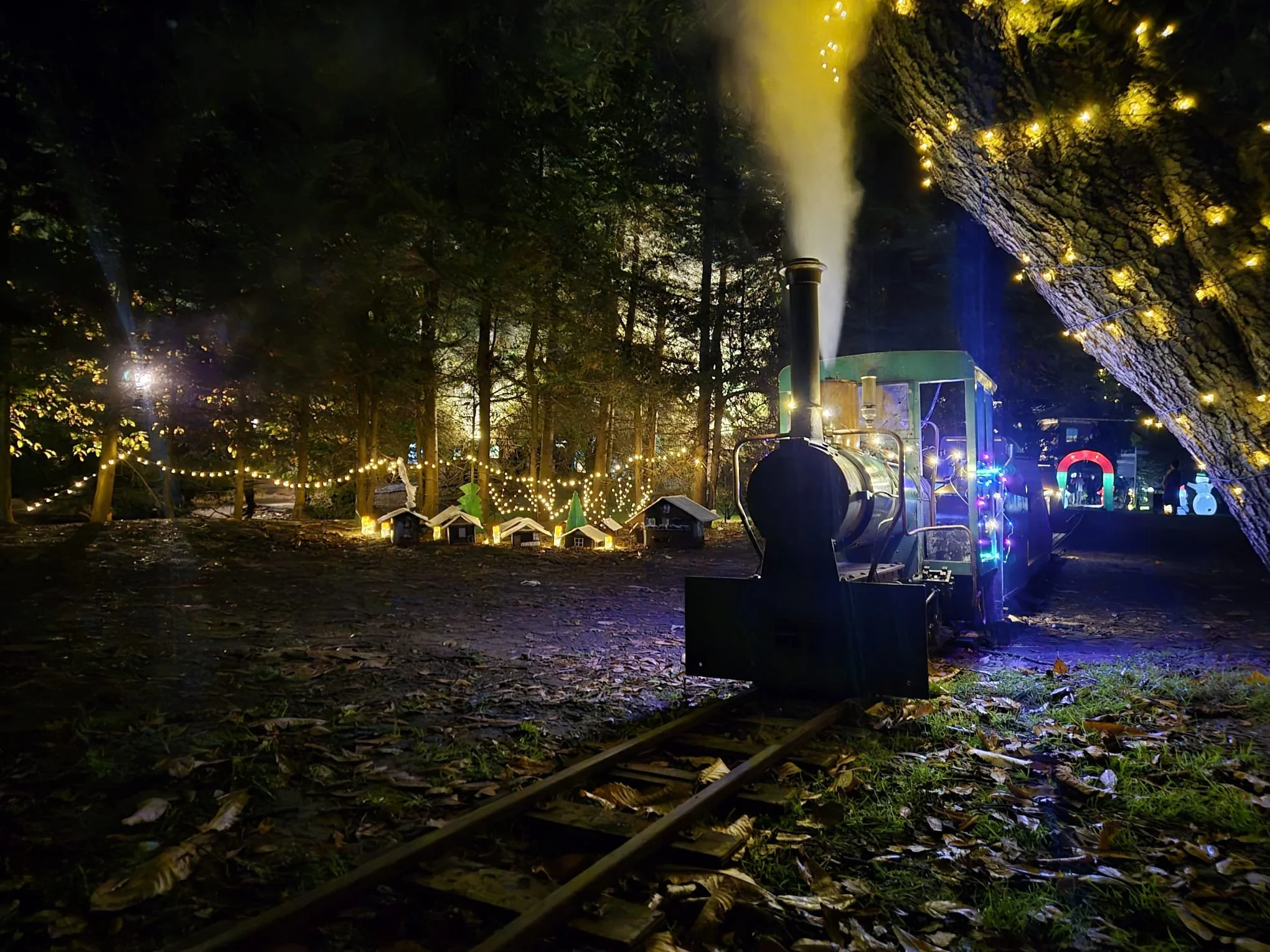 Night time scene with miniature Christmas village and Christmas lights, a miniature steam train emitting smoke, and a tree branch with fairy lights wrapped around.