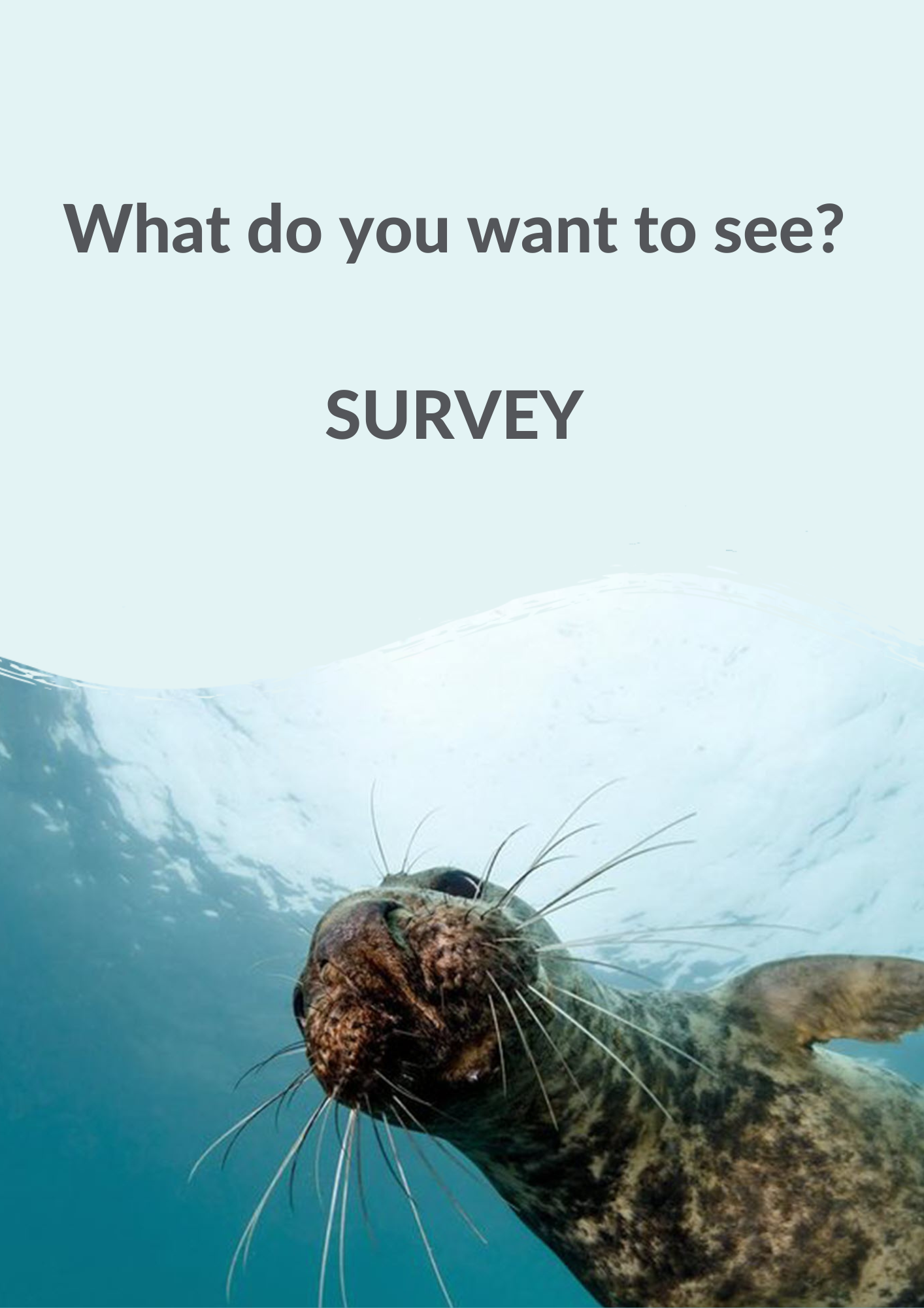 What do you want to see? SURVEY