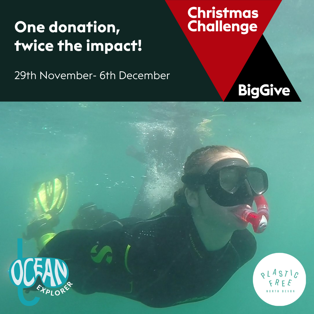 Double your donation in Big Give’s Christmas Challenge 2022.