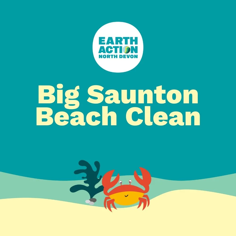 Big Saunton Beach Clean