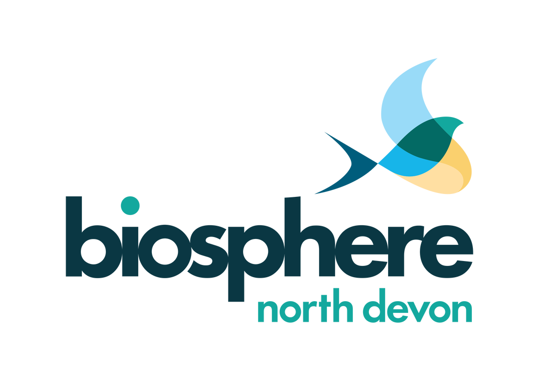 ndub-primary-logo-rgb_orig.png