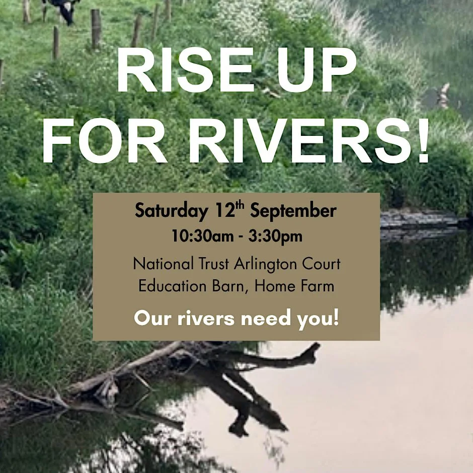 Rise Up for Rivers