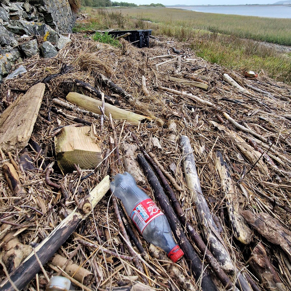 Home-Farm-Marsh-3-Coca-Cola-worst-pollutor.jpg