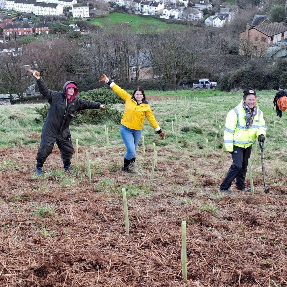 Explorers Club planting trees