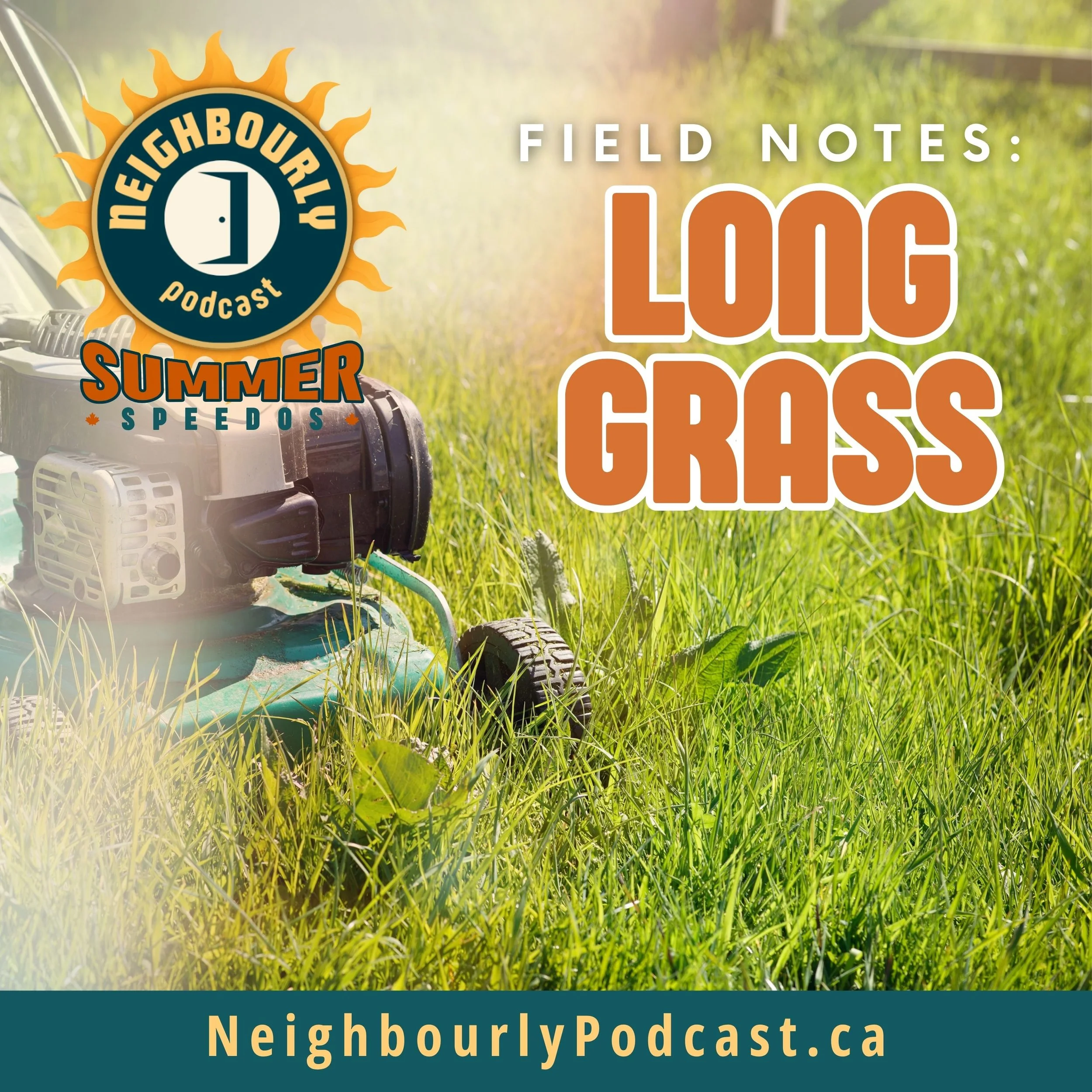 Summer Speedos | Field Notes: Long Grass