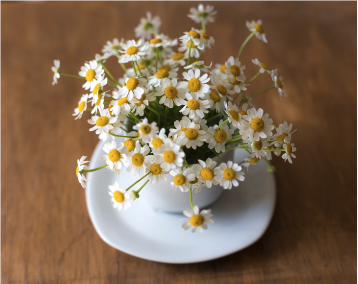Lillies in a coffee cup.