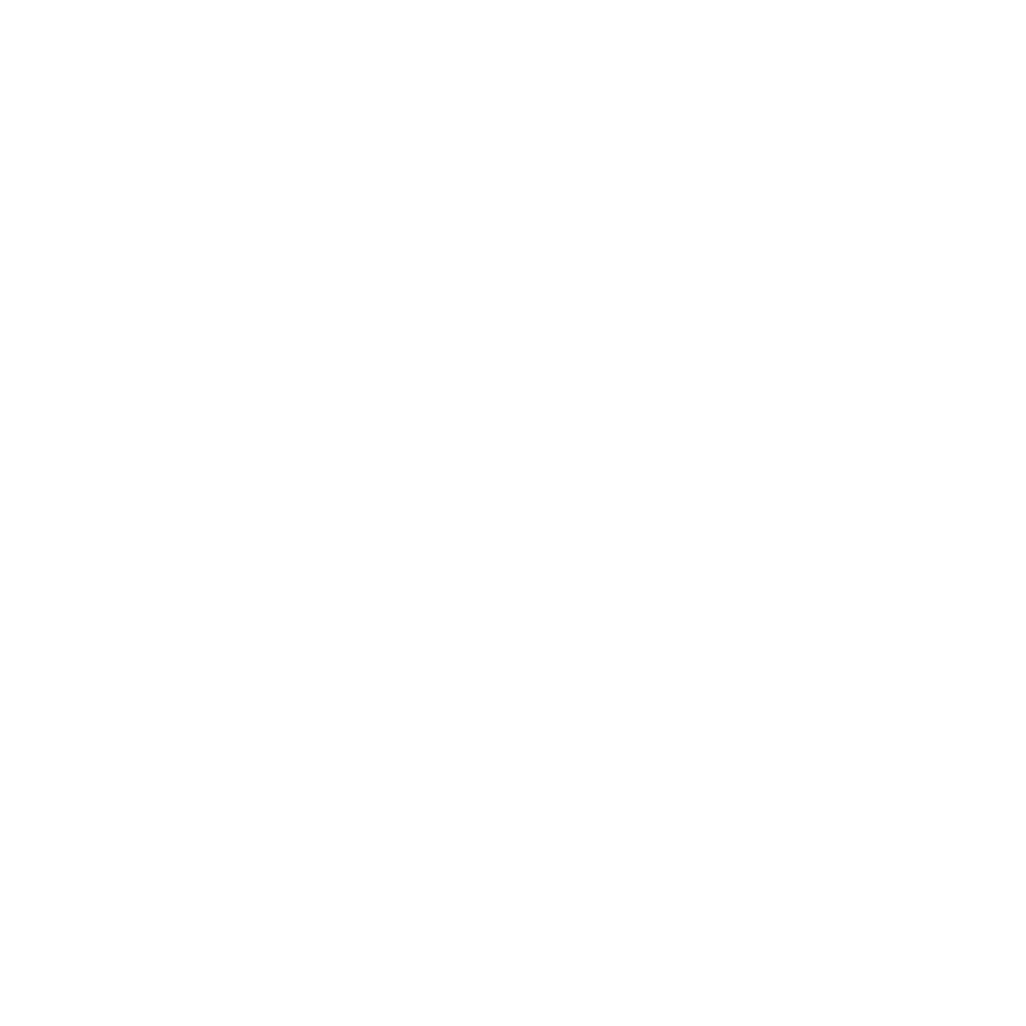 Money Icon