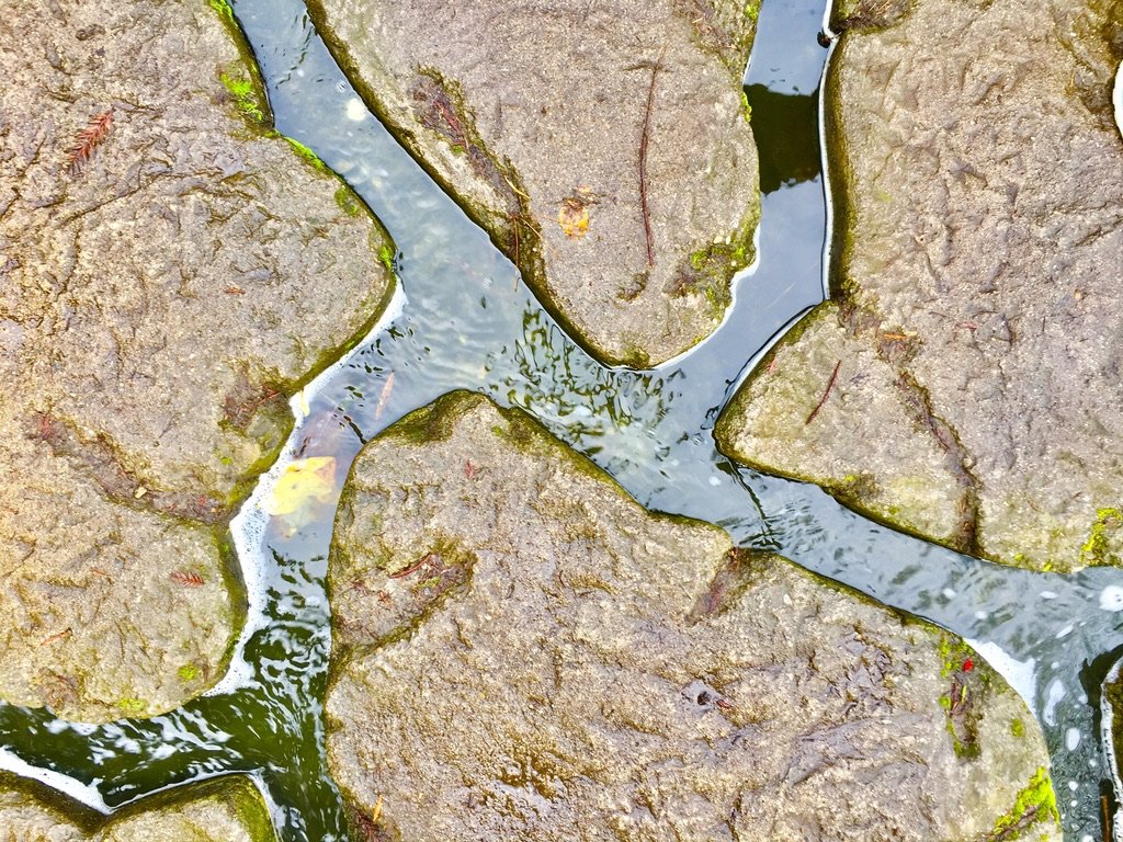 473C474A-EB6B-4209-839B-B2030281539F_1_105_c.jpeg