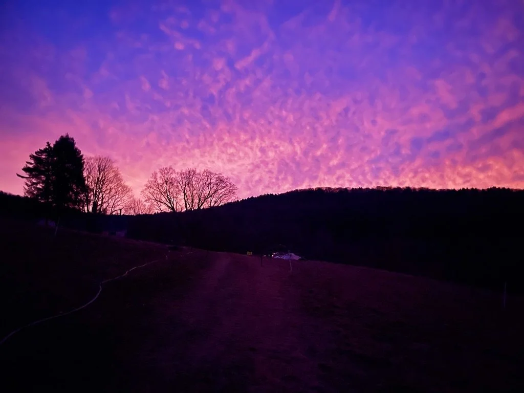 B85459CB-ADA0-48F9-B852-F88B5C7C000D_1_105_c.jpeg