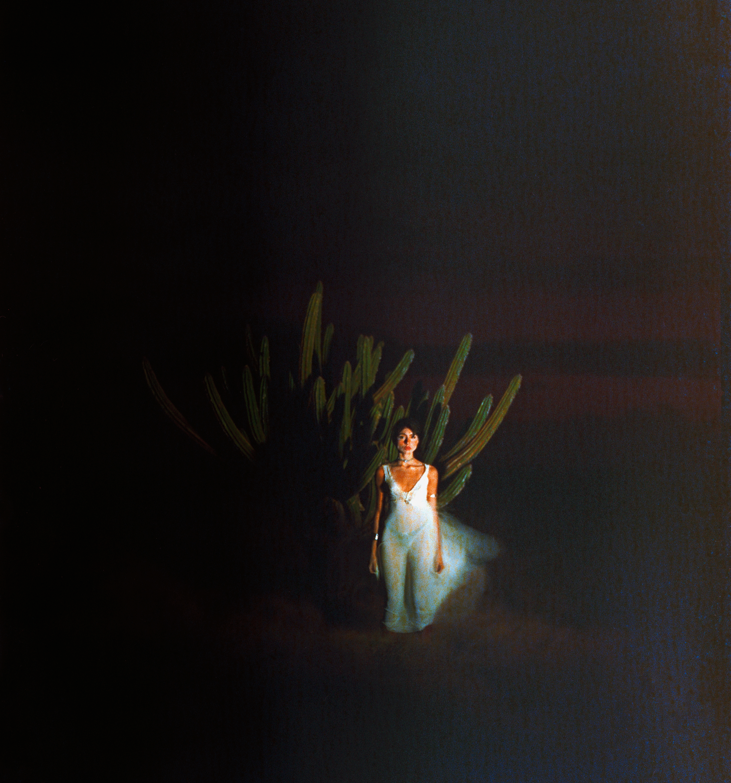 n1.png