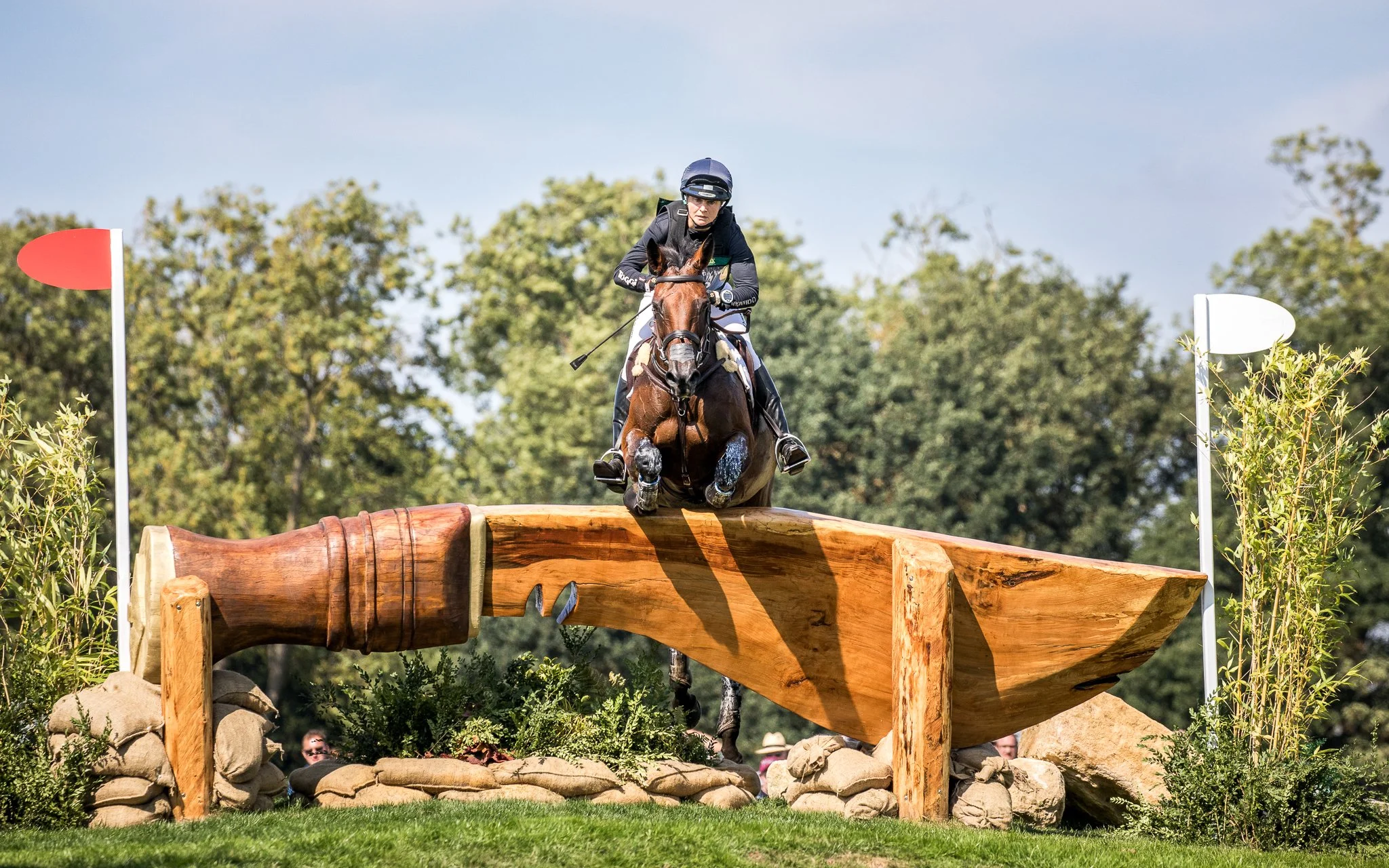 20180901 Burghley_9715.jpg