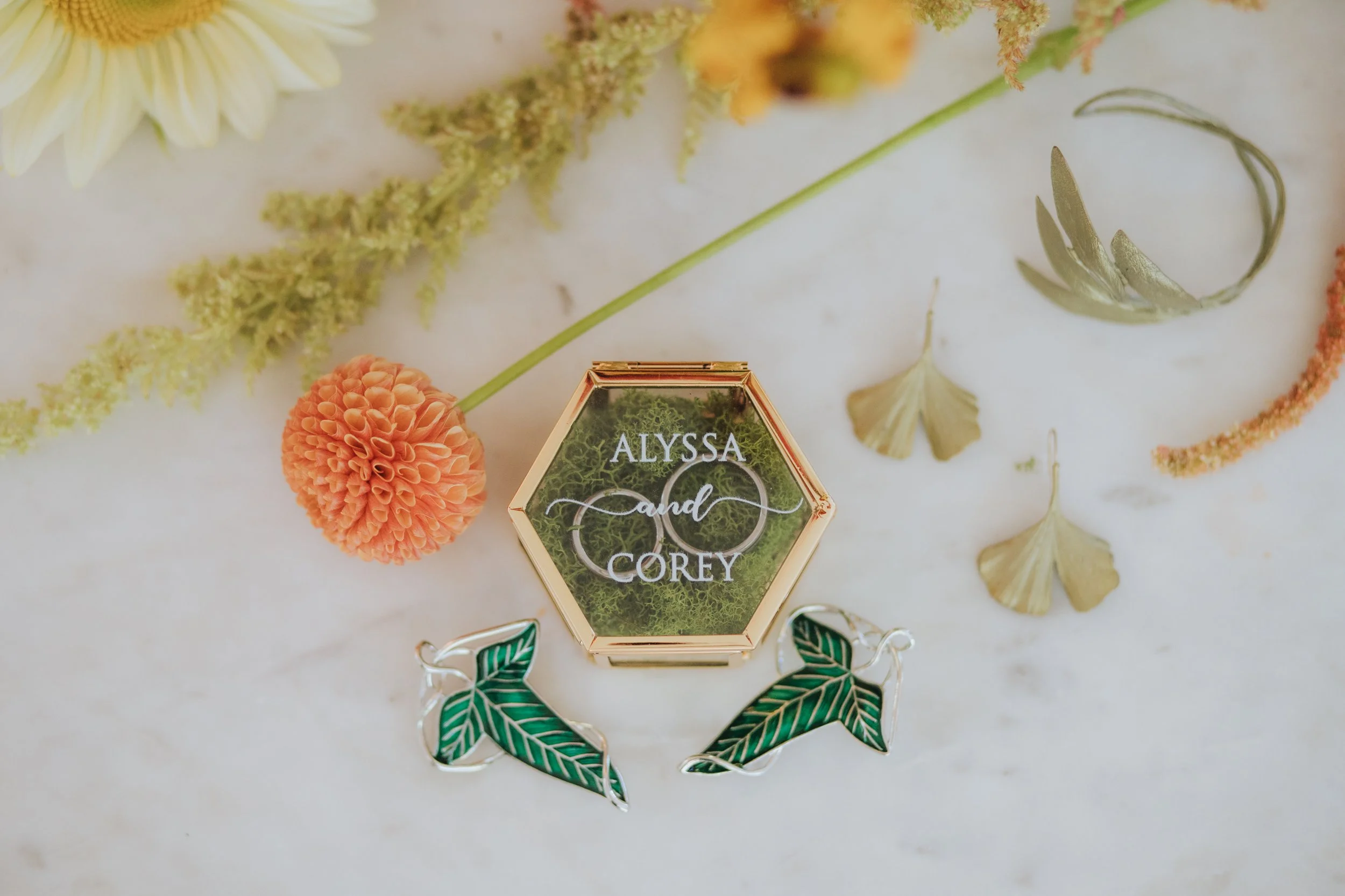 2025_Alyssa_Corey_Portfolio-1.jpg
