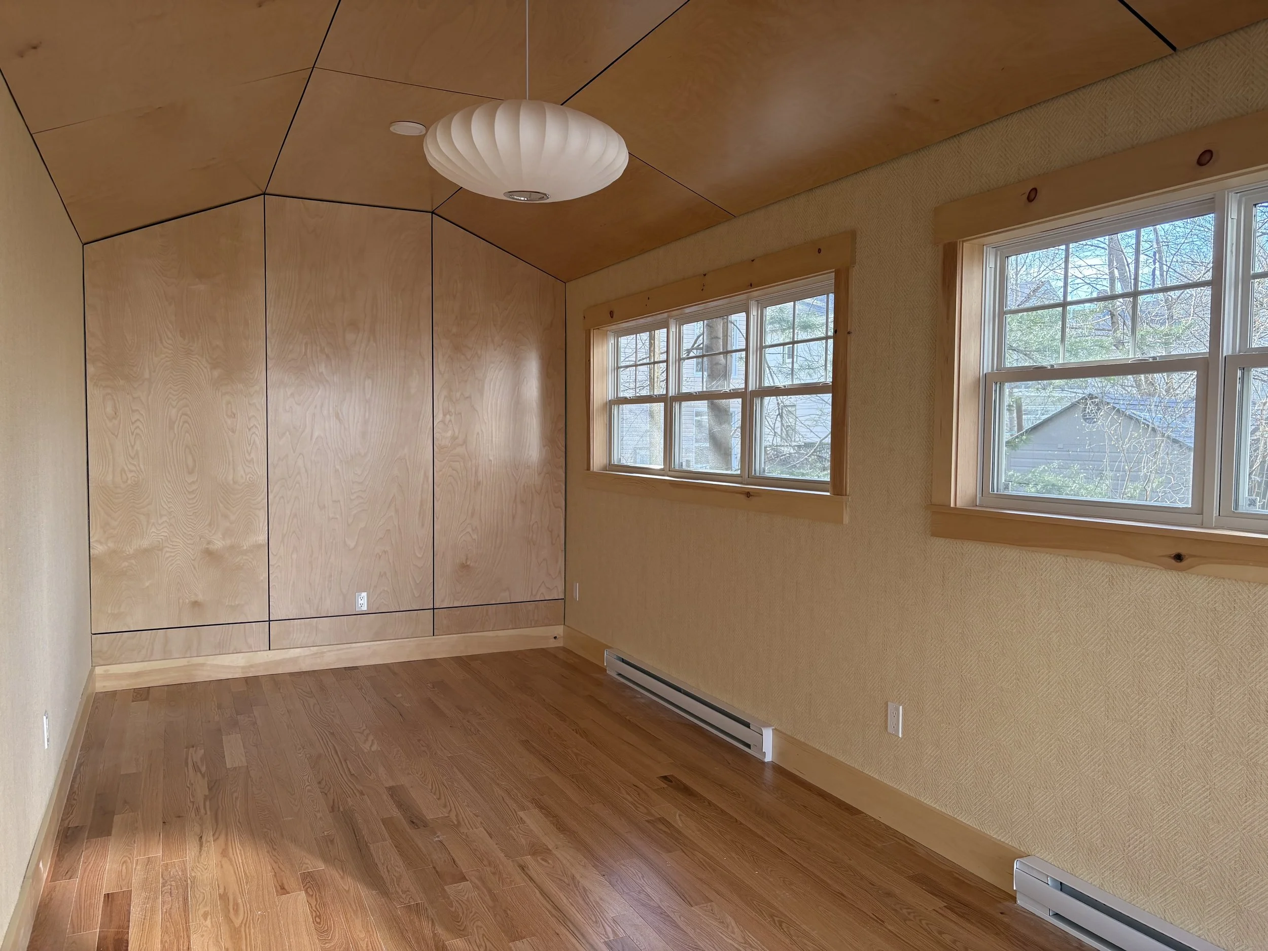 Basement Remodel & Backyard Suite