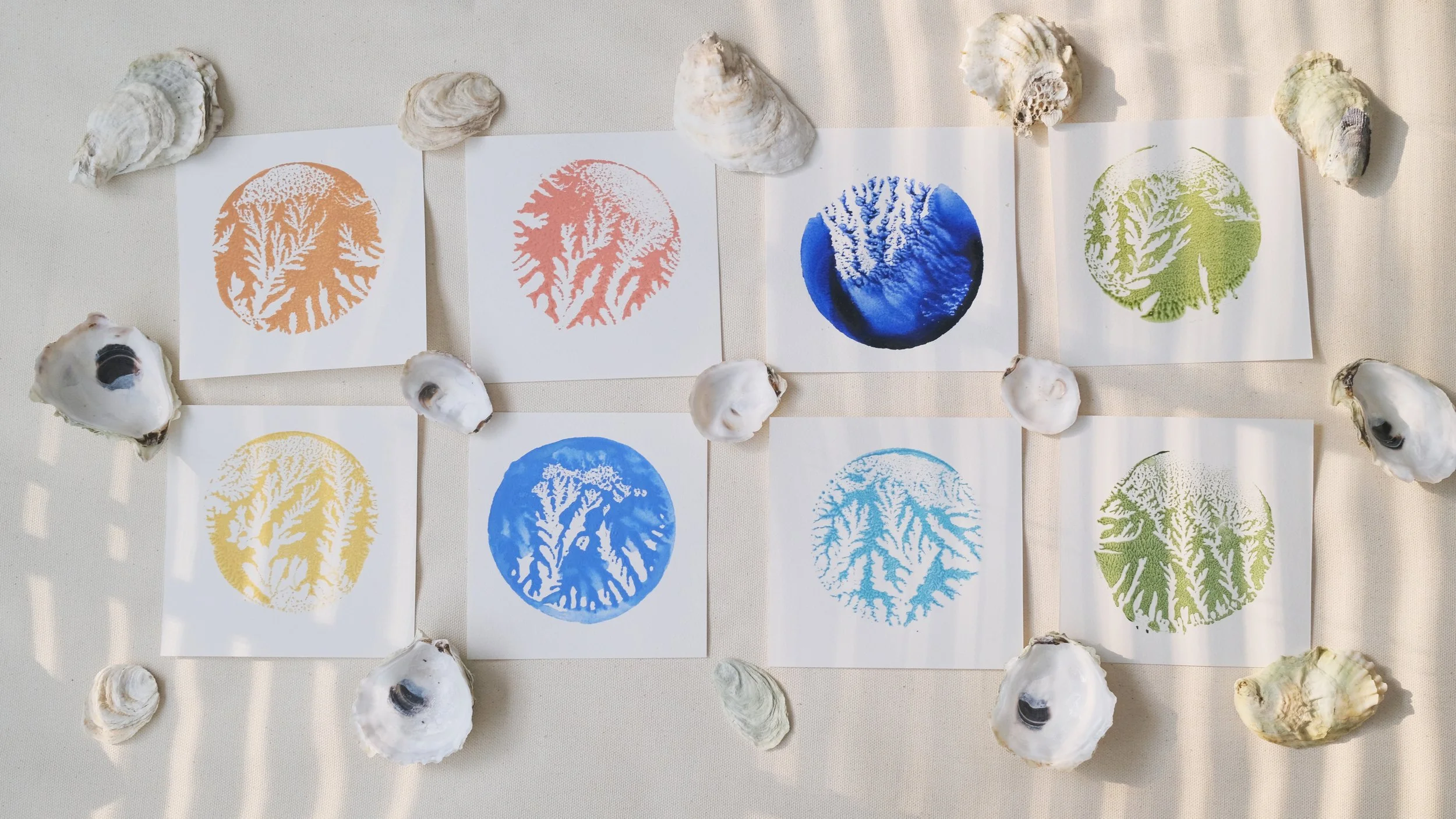 IMPRESSIONS COLLECTION