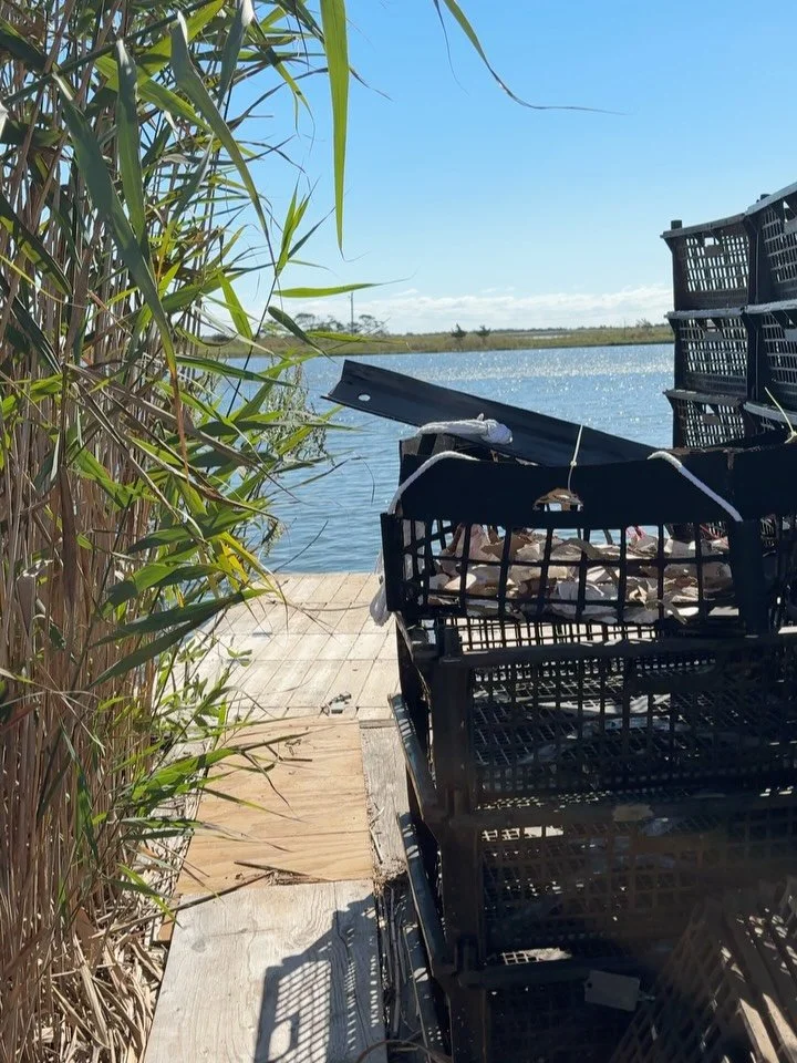 FLUPSY CAGE SCULPTURE

&bull;ARS 256 @sbuarts 
Fall 2025 Semester, Project 1

Materials: cardboard, zip ties, found wires and metal clip, recycled oysters, rope, handmade watercolor paints, acrylic paint

Site specific installation: in Mastic Beach w