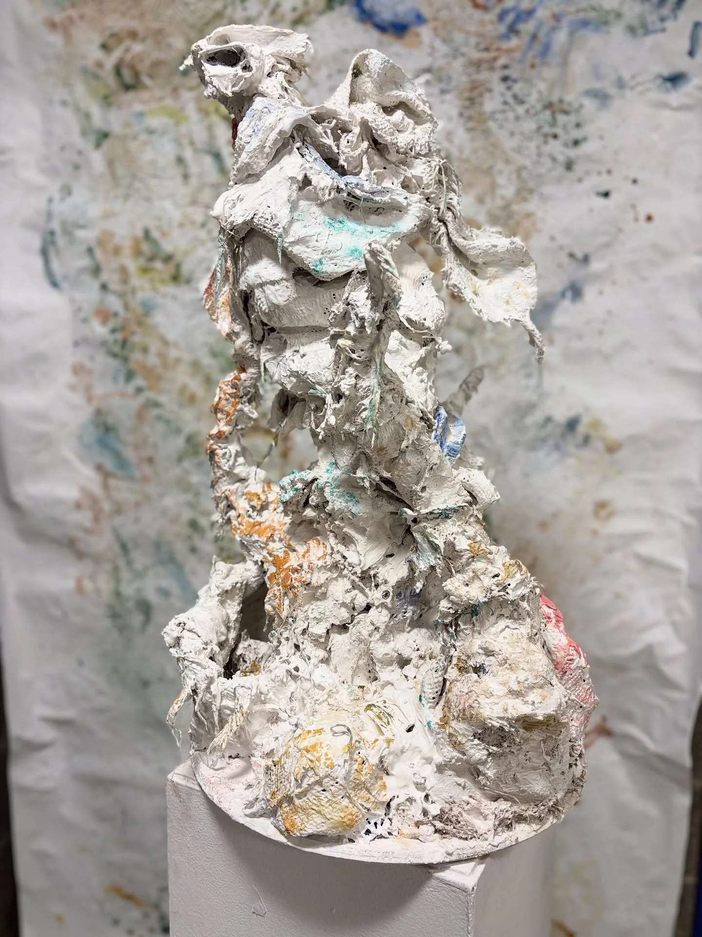 The Corals

&bull;ARS 256 @sbuarts 
Fall 2025 Semester, Project 2

Materials: chicken wire, burlap, plaster, handmade paints from earth &amp; mineral pigments, sand, two round canvases, one unstretched canvas

Site specific &amp; critique installatio