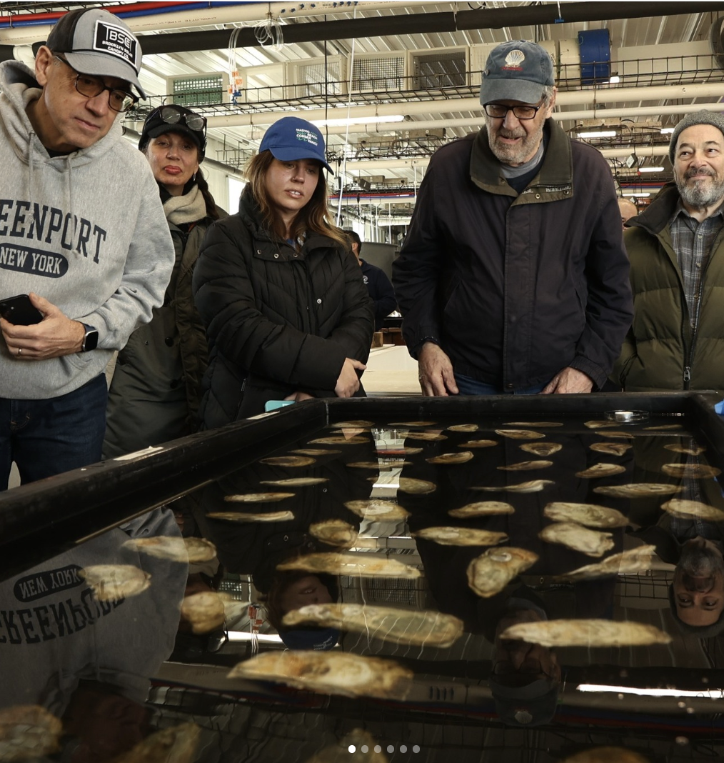 Screenshot 2026-03-17 at 4.57.38 PM.png