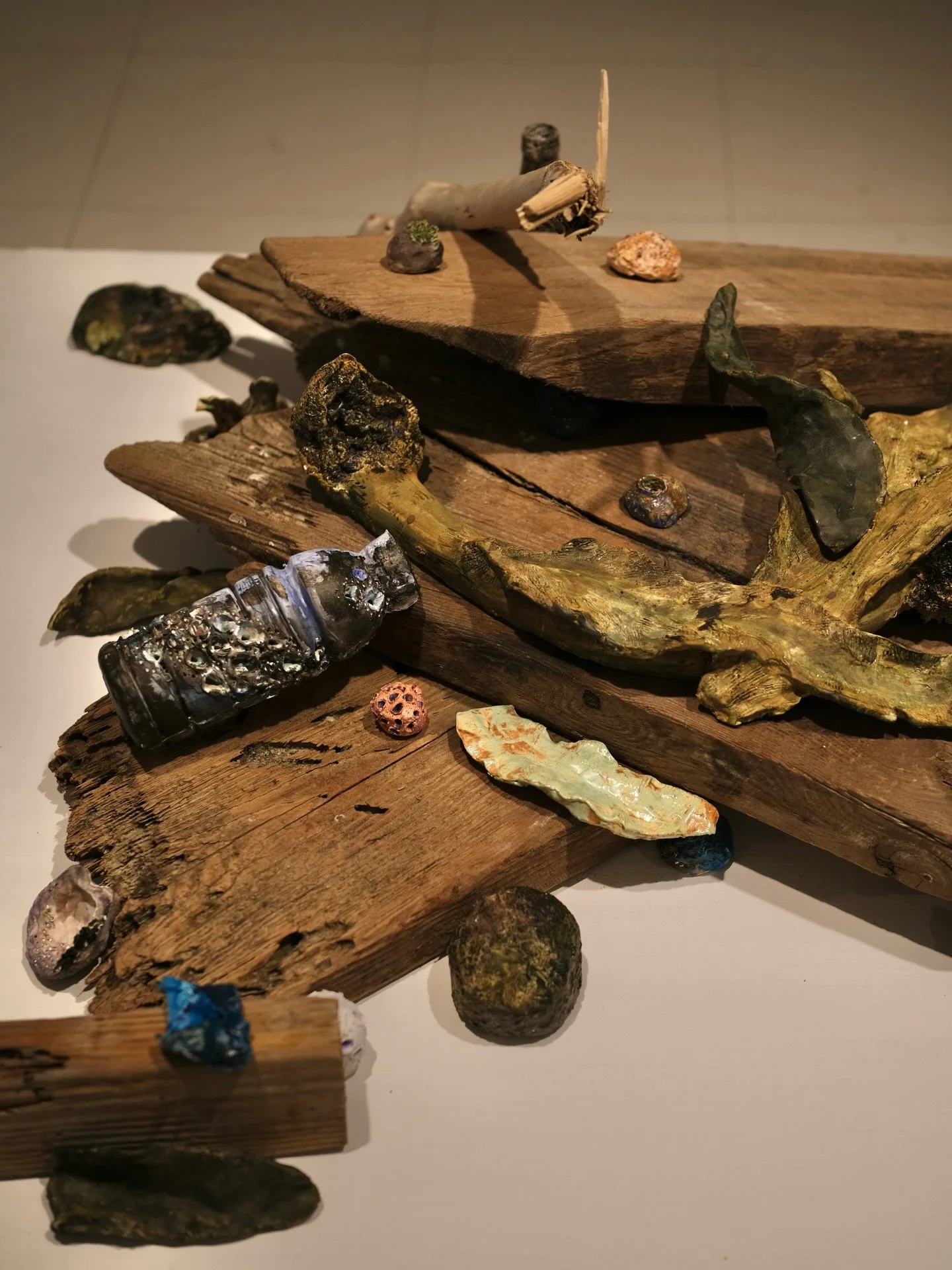 URECA opened last night and I am honored to be a recipient of the Virginia Fuller Award from @gallerynorthli for my installation titled, Shoreline Remnants @sbuartssciences in the @zuccairegallery

The installation features over 40 ceramic pieces, wi