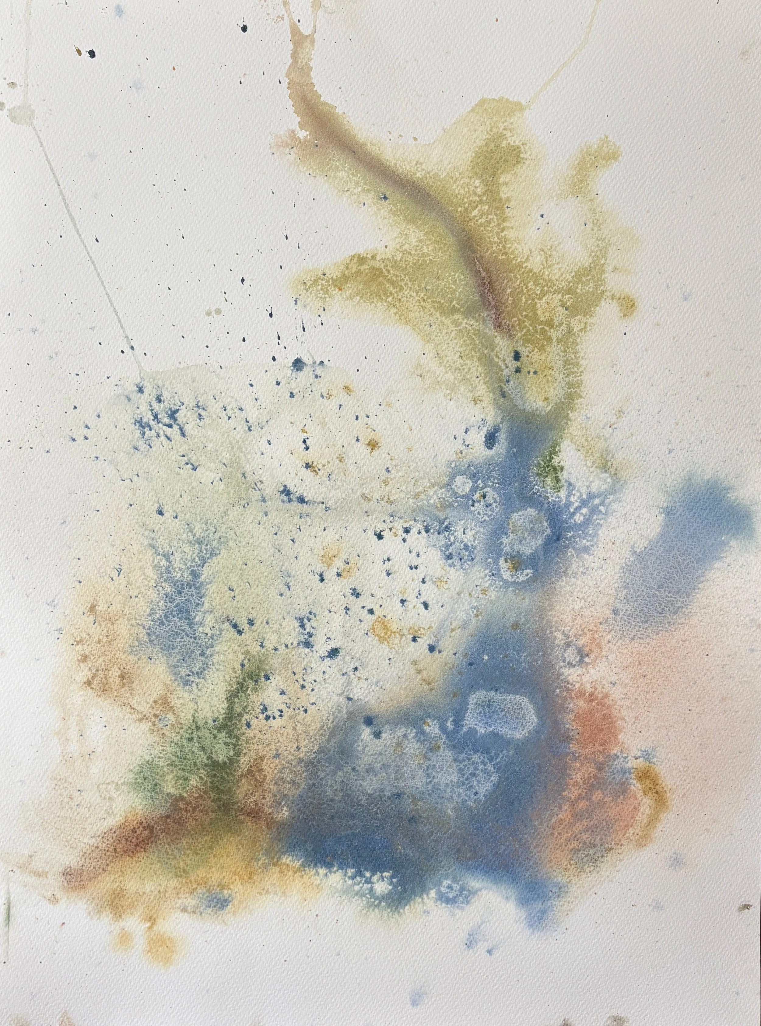 CHRISTIE JONES - SUBMERGED CAUMSETT IN COLOR - 1.jpg