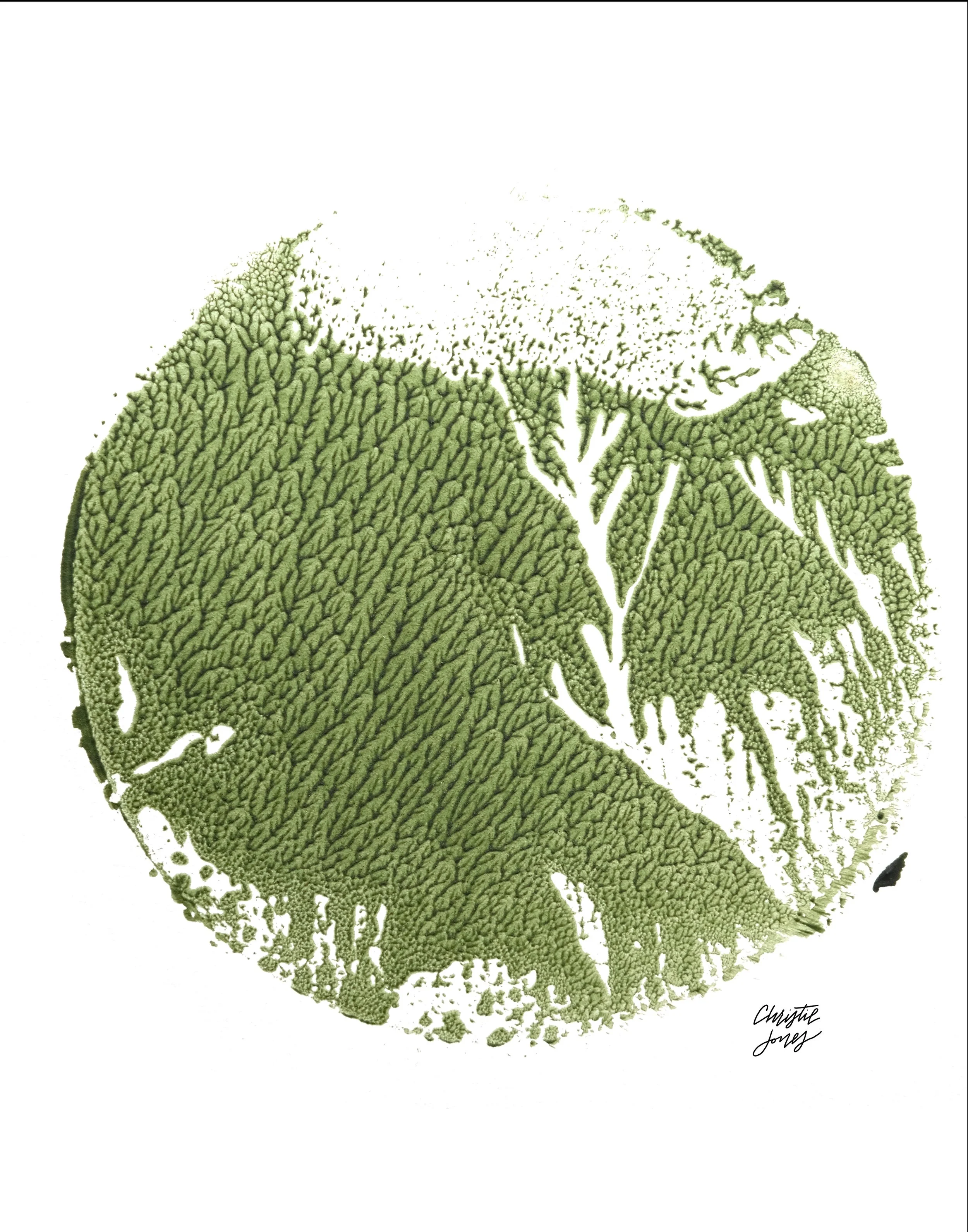 CHRISTIE JONES - REGENERATION - 2021.jpg