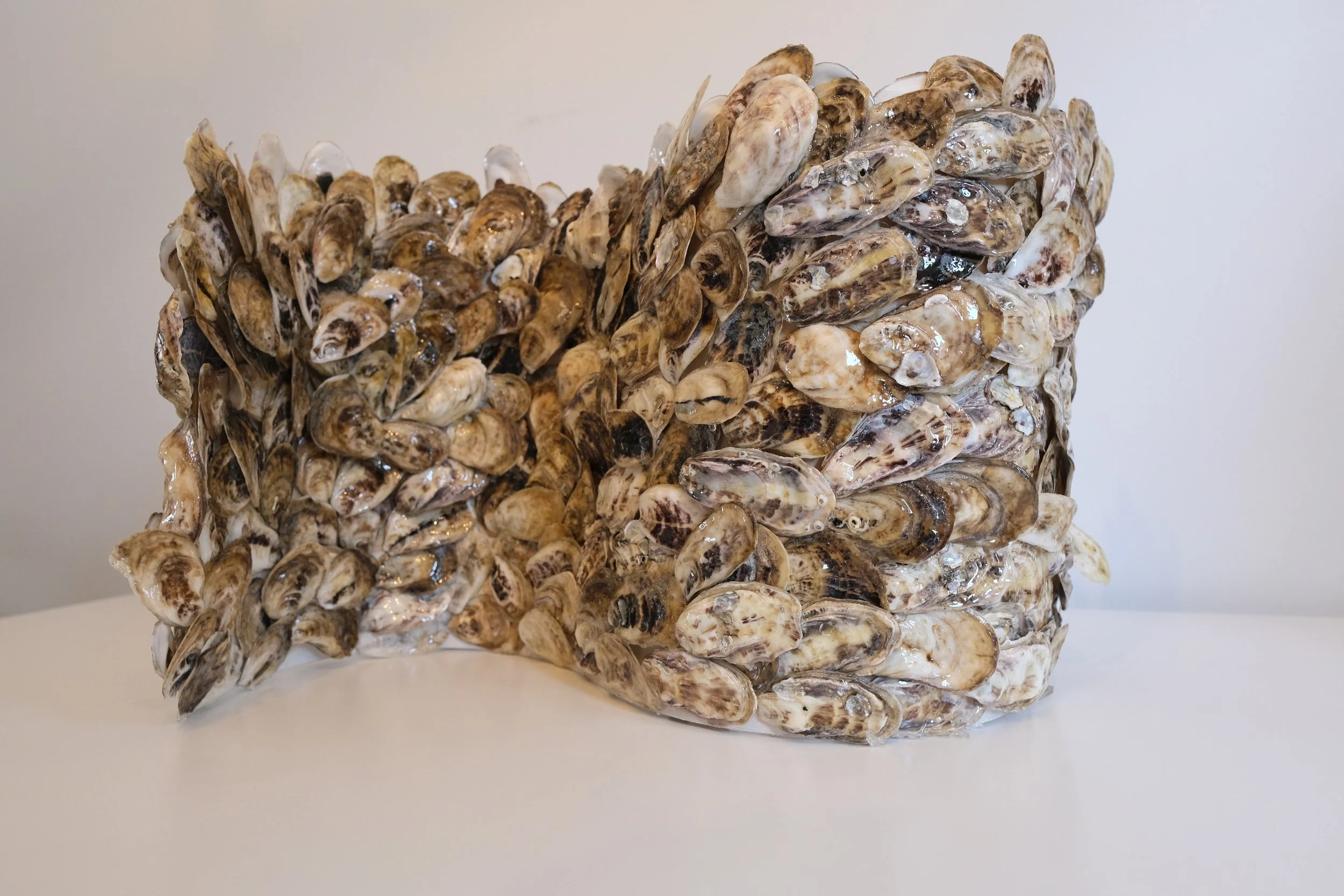 RESTORATIVE CURRENTS: recycled oyster sculpture