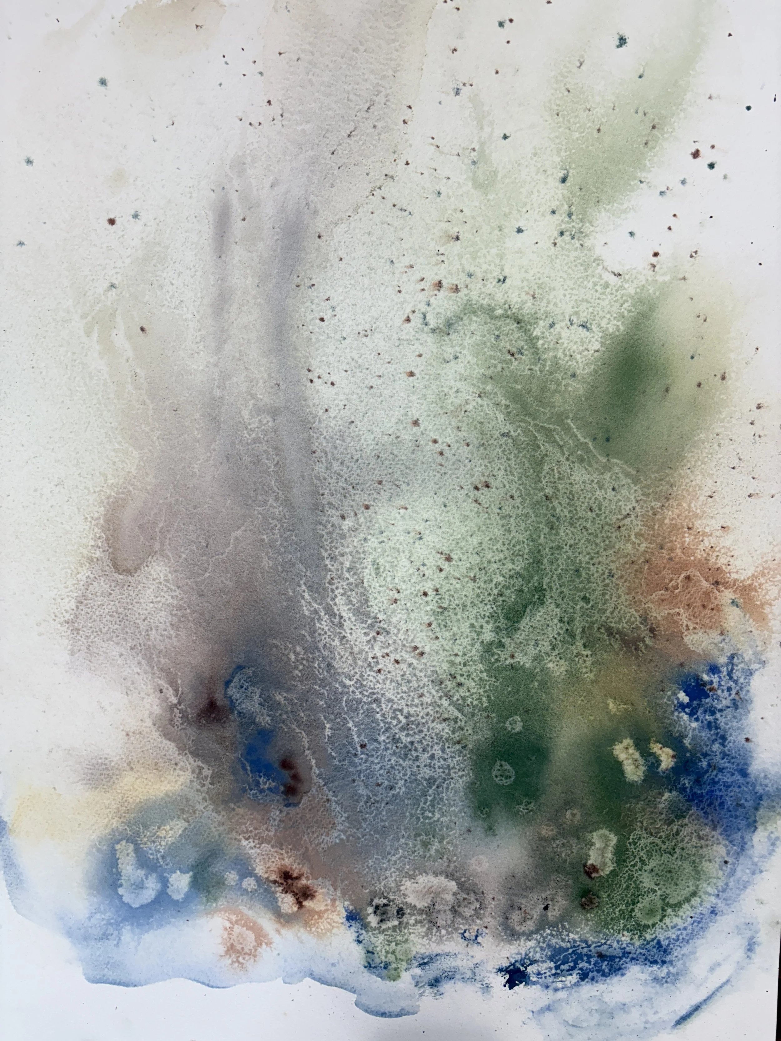 CHRISTIE JONES - SUBMERGED CAUMSETT IN COLOR - 3.JPG