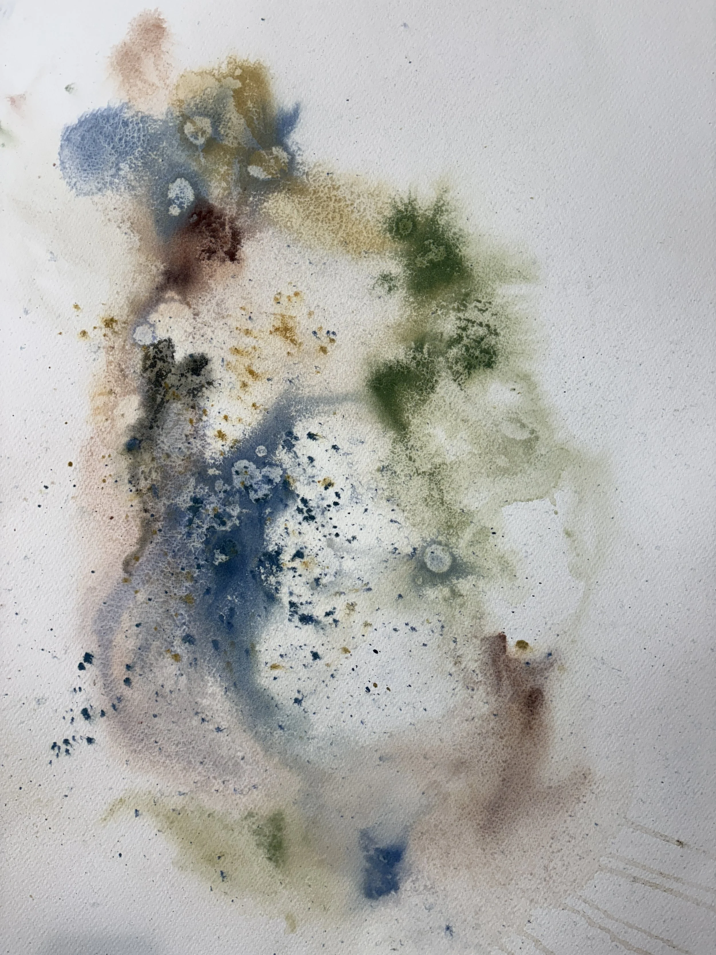 CHRISTIE JONES - SUBMERGED CAUMSETT IN COLOR - 4.JPG