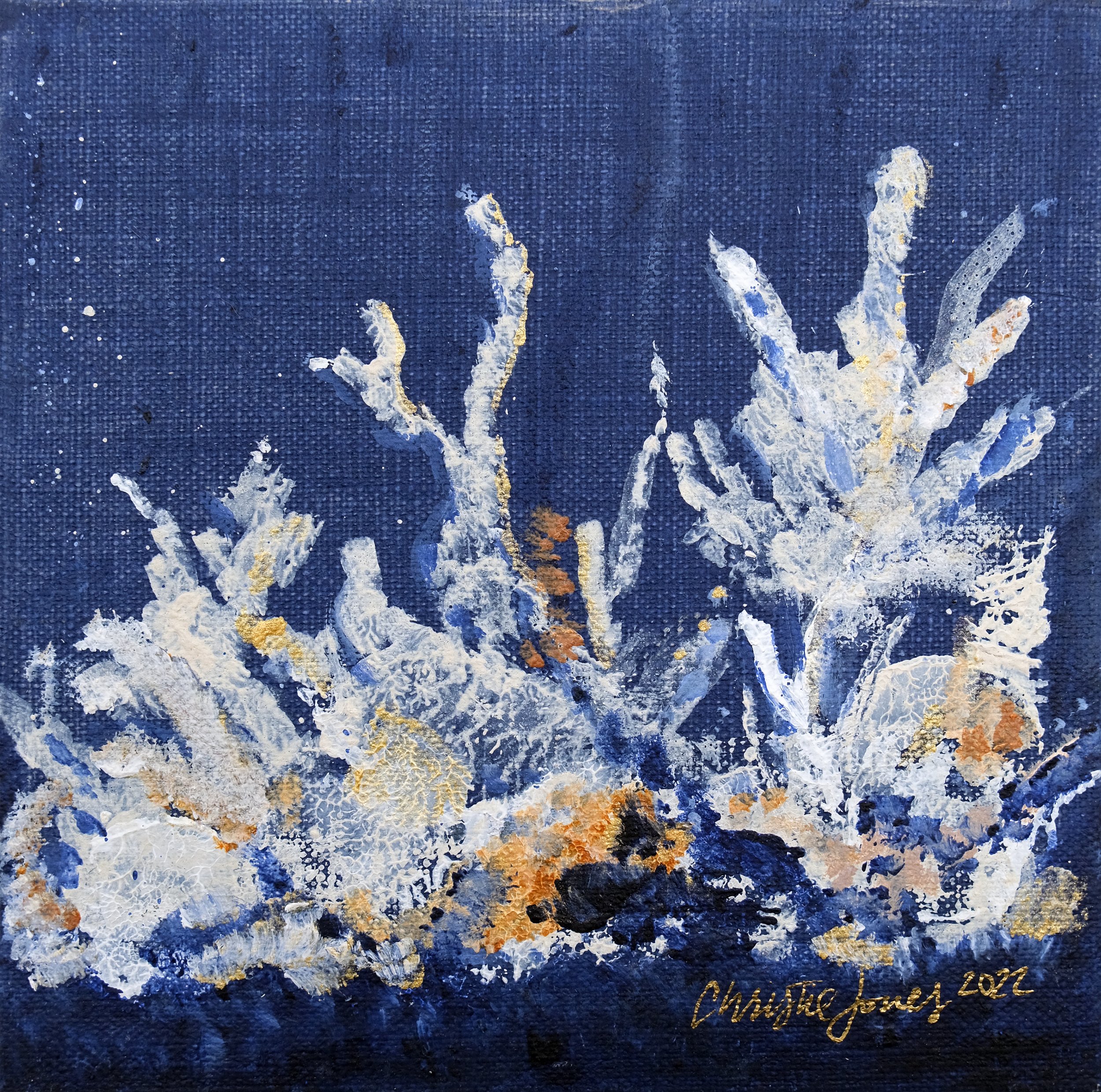 CHRISTIE JONES - BLOOMING CORALS - 2022.jpg