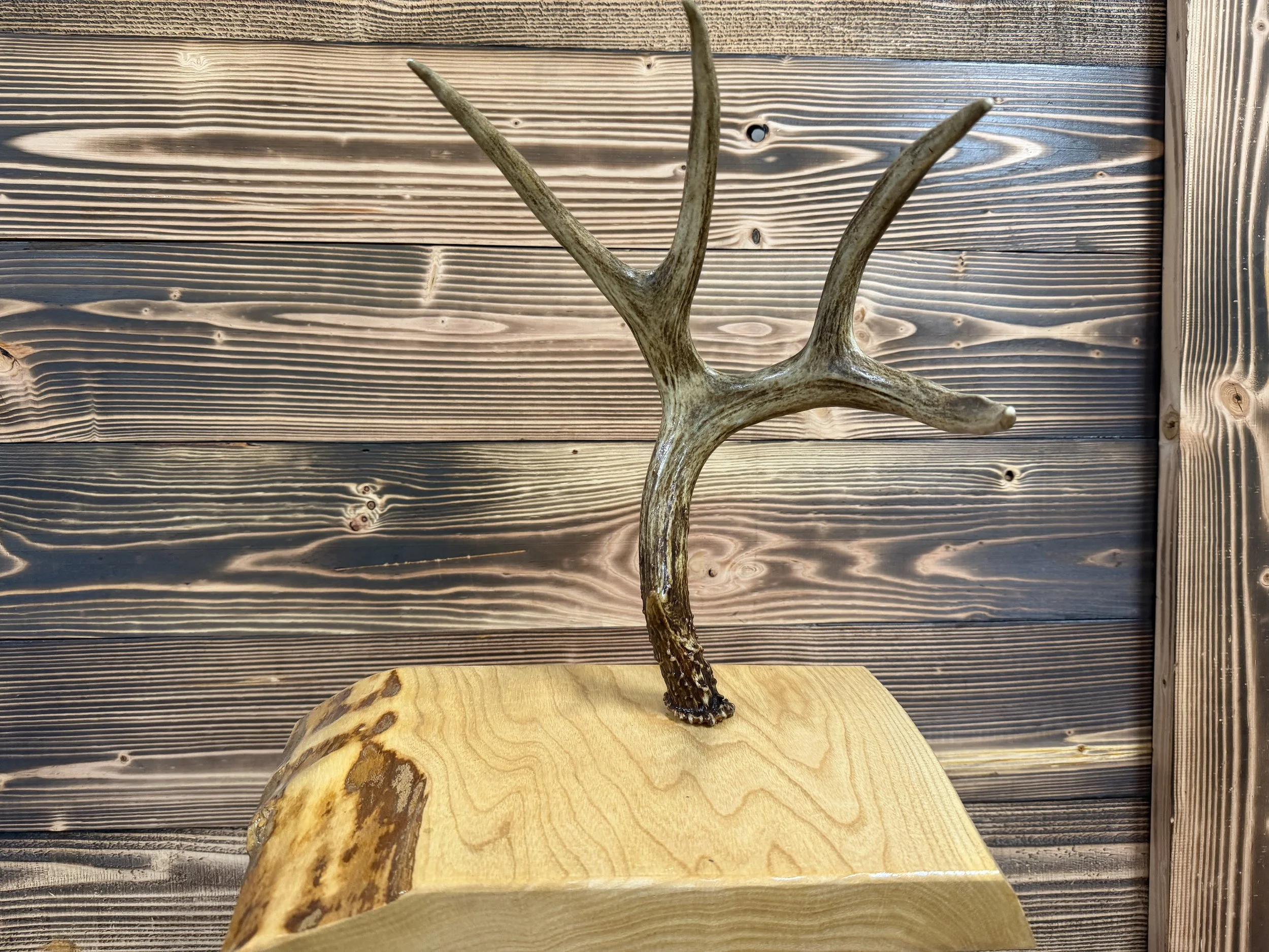 Jewelry holder
