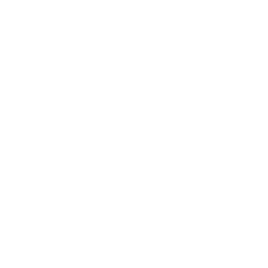 Black and white flag similar to the Swedish flag