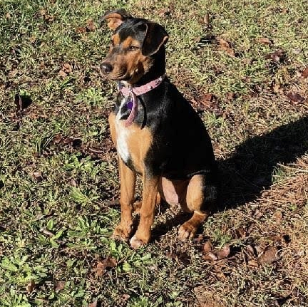 Client Spotlight: Motley