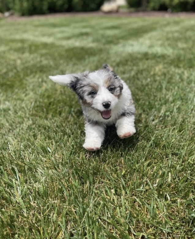 SEPTEMBER 2022 Client Spotlight: Ryder