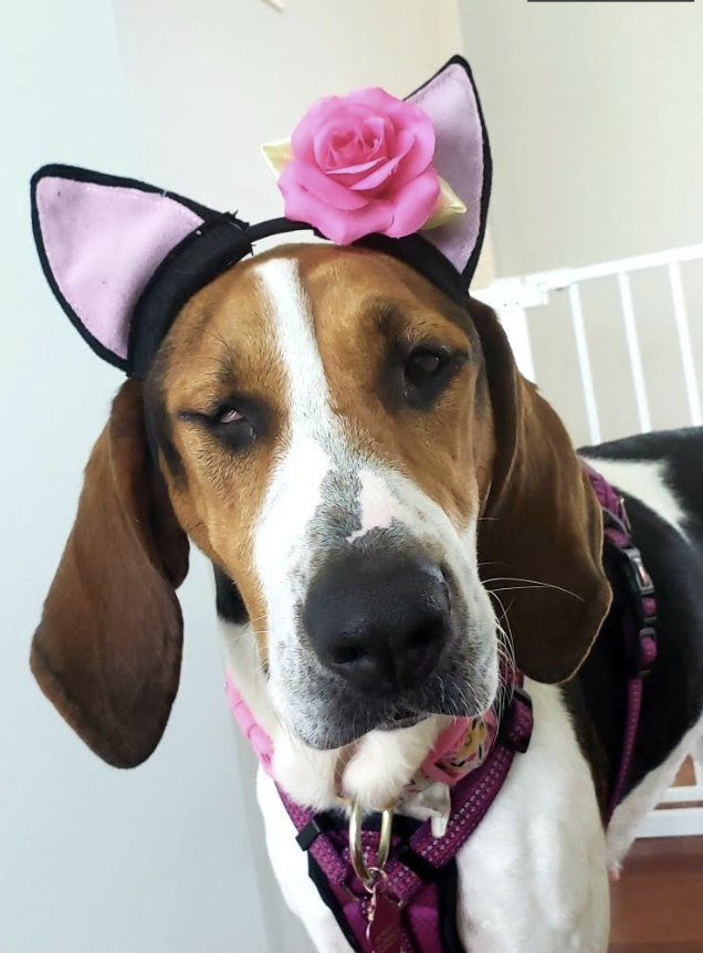 AUGUST 2022 Client Spotlight: Leela