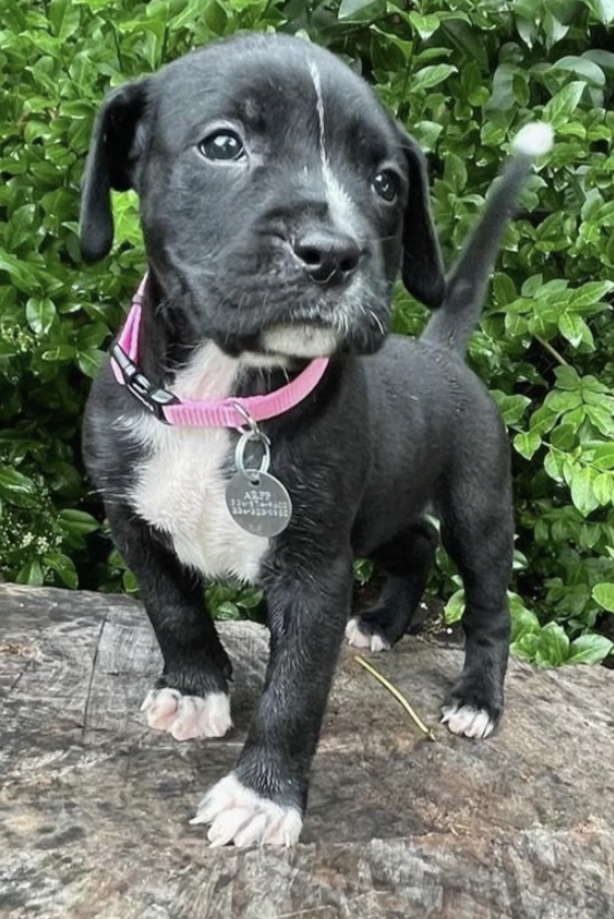 MAY 2022 Client Spotlight: Barley