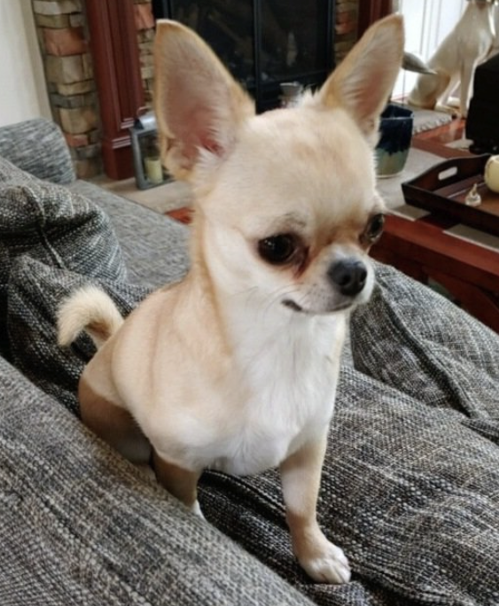 FEBRUARY 2022 Client Spotlight: Sadie