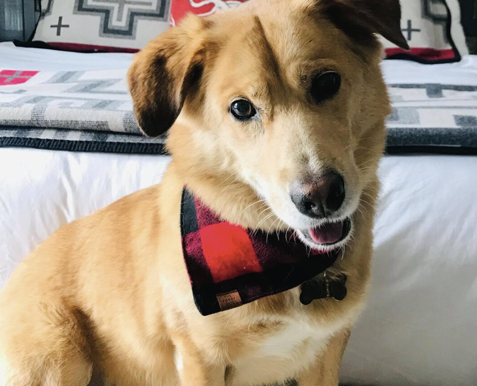 JANUARY 2022 Client Spotlight: Barkley