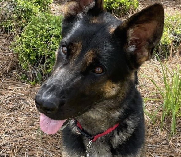 DECEMBER 2021 Client Spotlight: Ragnar