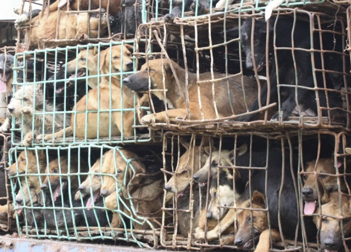 Spreading Awareness: It's a Number's Game