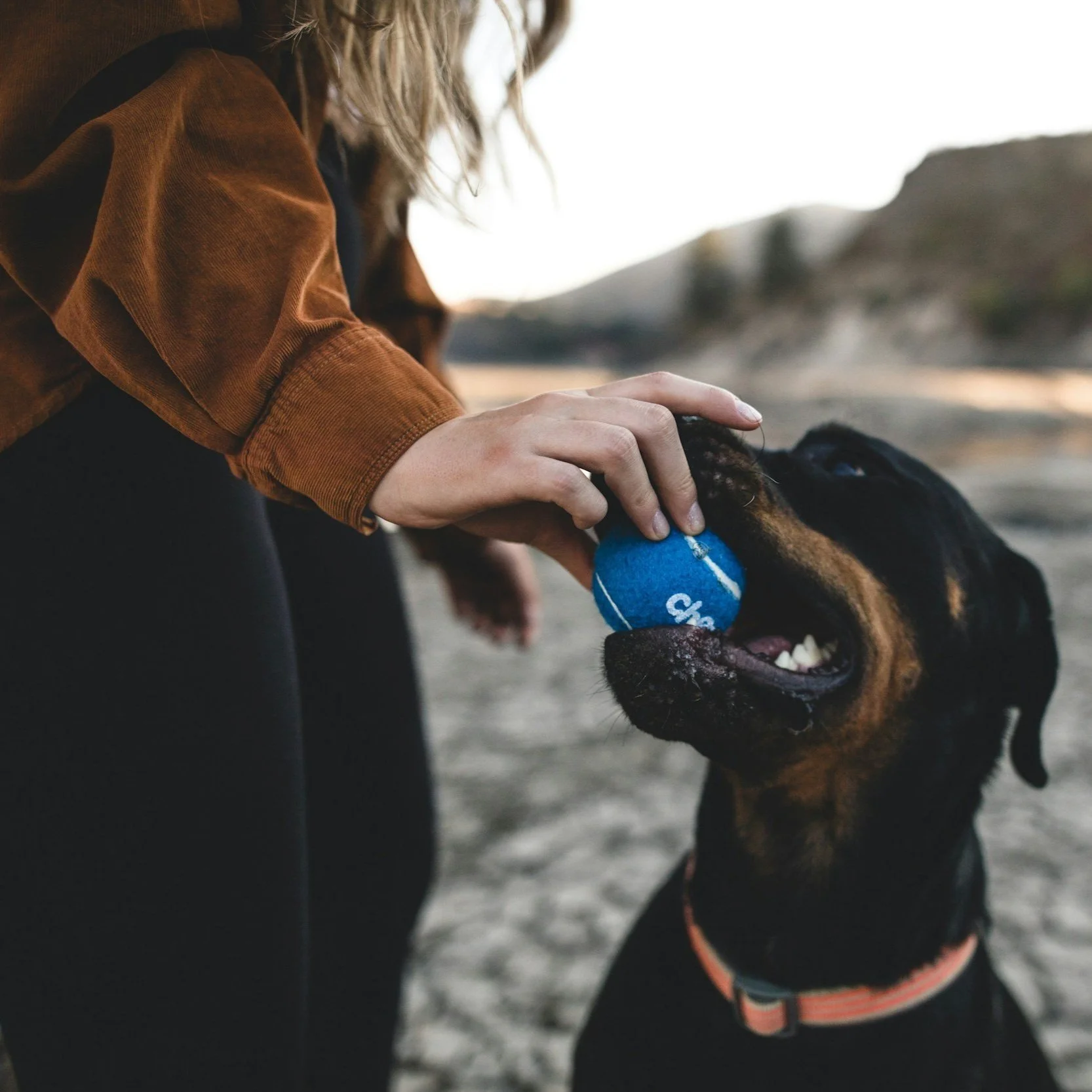 Easy Enrichment Ideas