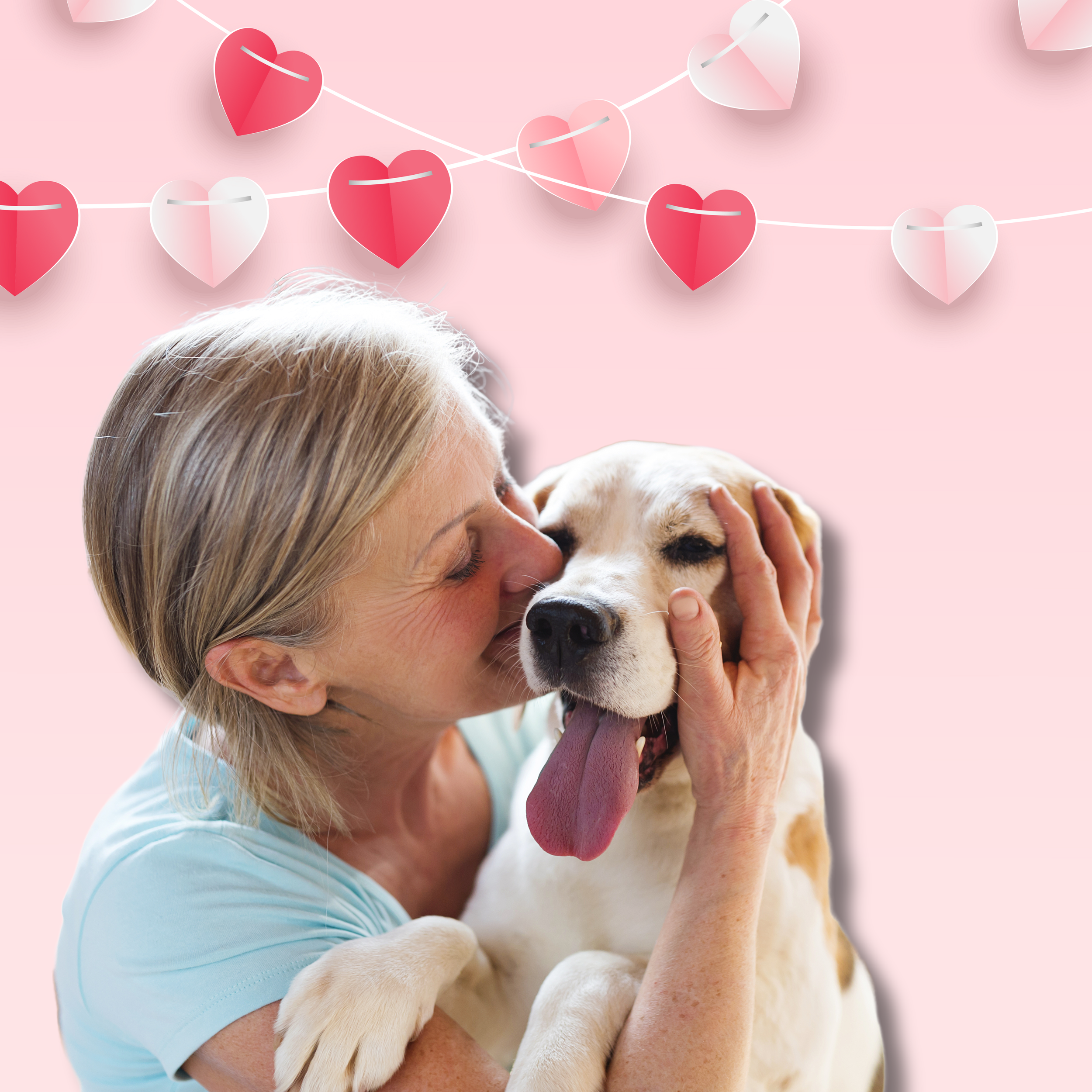 This Valentine's Day, Fall in Love with your Puppy Again!