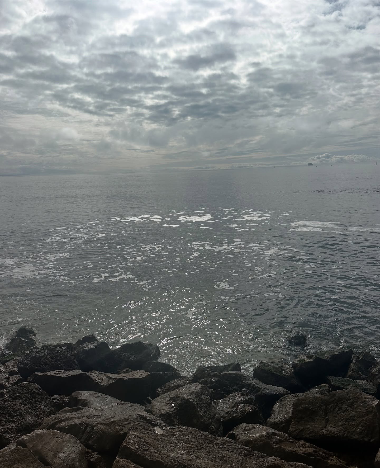 What are you grateful for today? Look around and find 5 things and write them down. Right now. No matter where you are or what is going on. Even a grey sky can shed light and beauty&hellip; Count your blessings today and let tonight&rsquo;s full moon