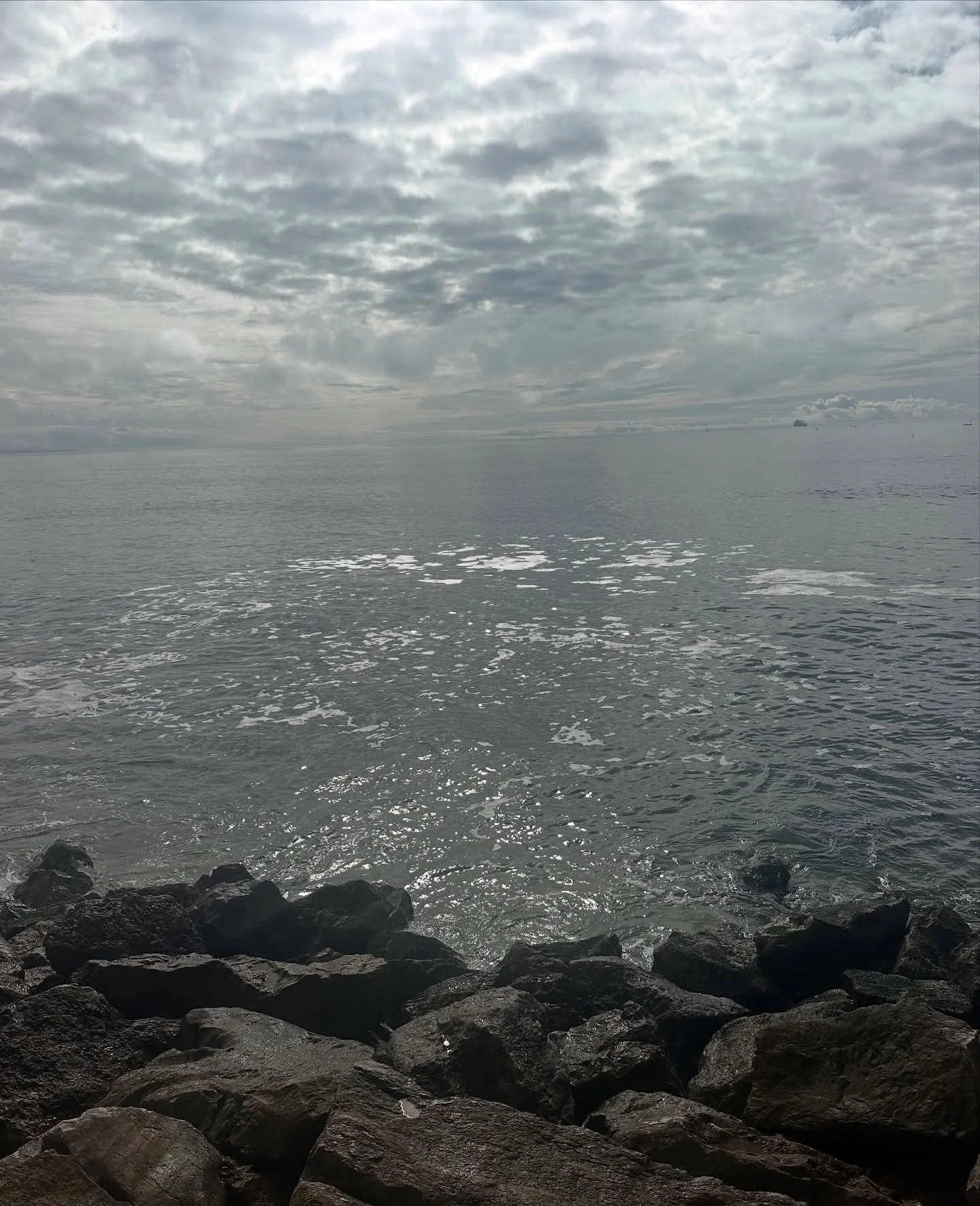 What are you grateful for today? Look around and find 5 things and write them down. Right now. No matter where you are or what is going on. Even a grey sky can shed light and beauty&hellip; Count your blessings today and let tonight&rsquo;s full moon