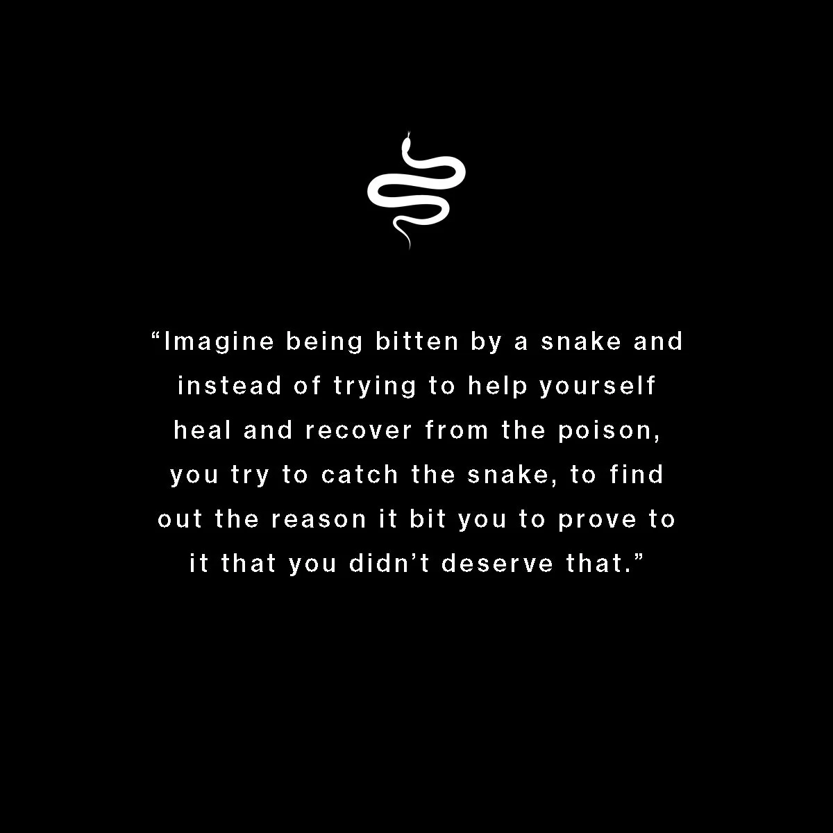 At the beginning of this year, I kept seeing this quote on my feed and thought it sent a potent message. 🐍 (I can&rsquo;t find who it originated with. If you know please let me know!)

I took it as a personal message from the universe as I am still 