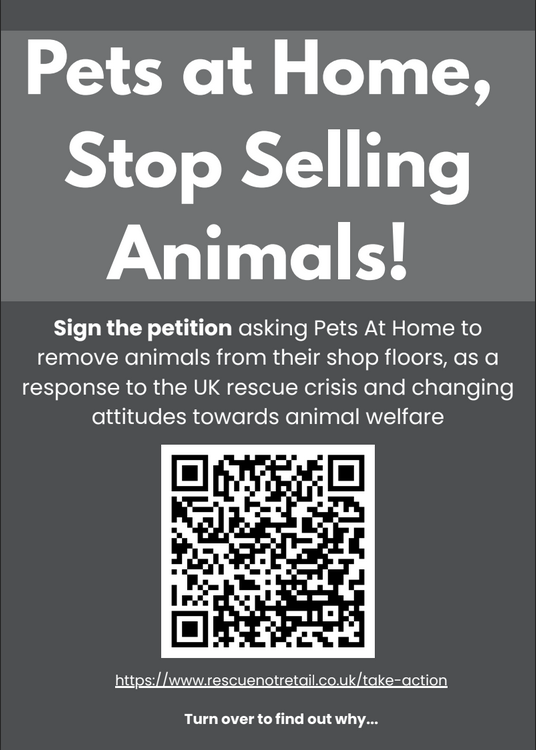 Screenshot from 2026-03-24 22-00-40.png