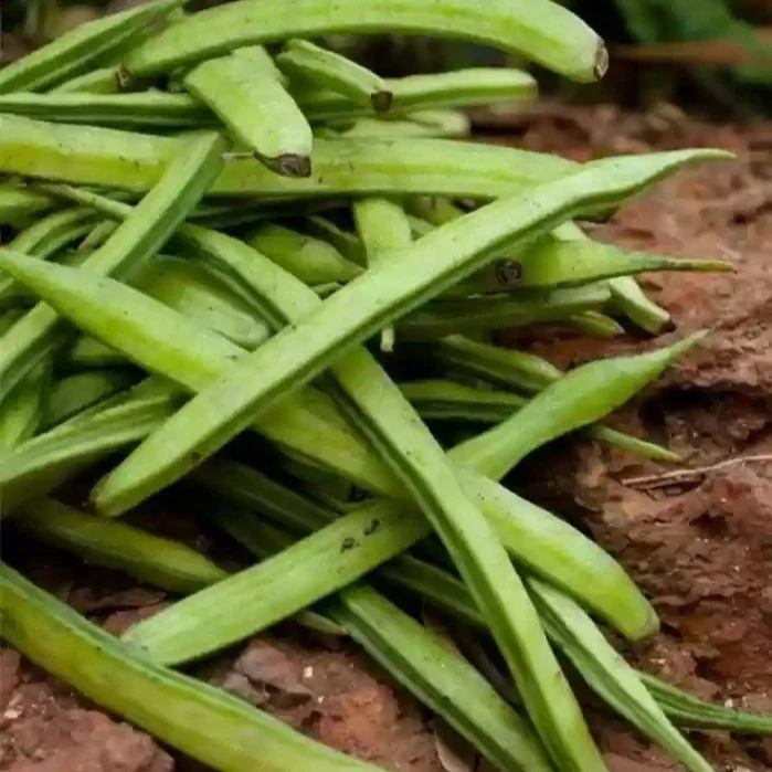 Guar CoryPro Ingredients, Inc.